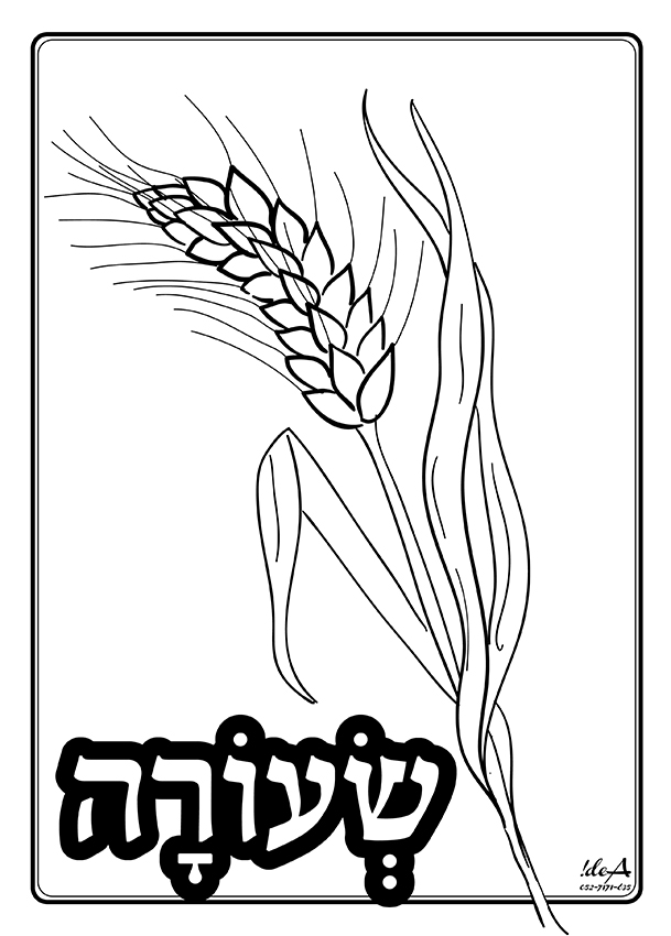שעורה