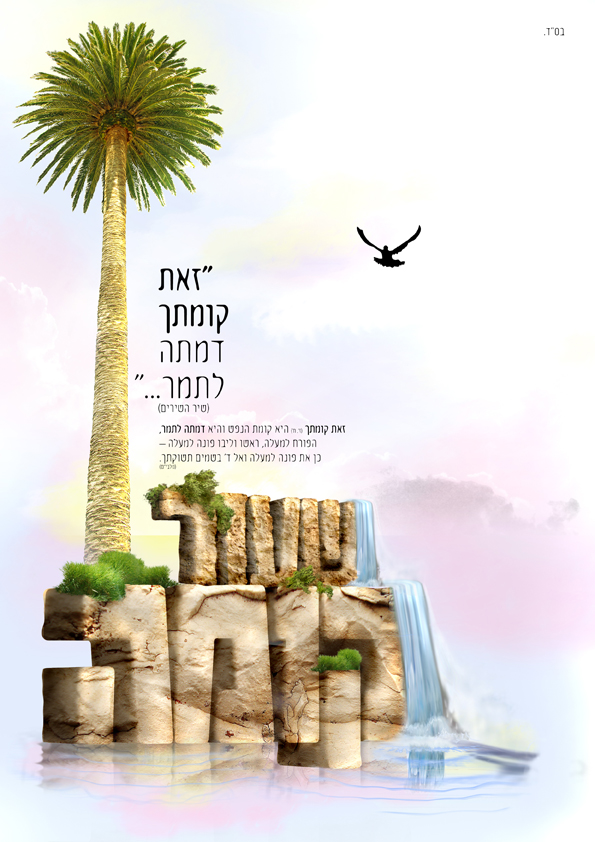 שעור קומה
עיצוב מלווה לקורס שנתי להעצמה אישית. 
התכנים עפ''י בקשת הלקוח.