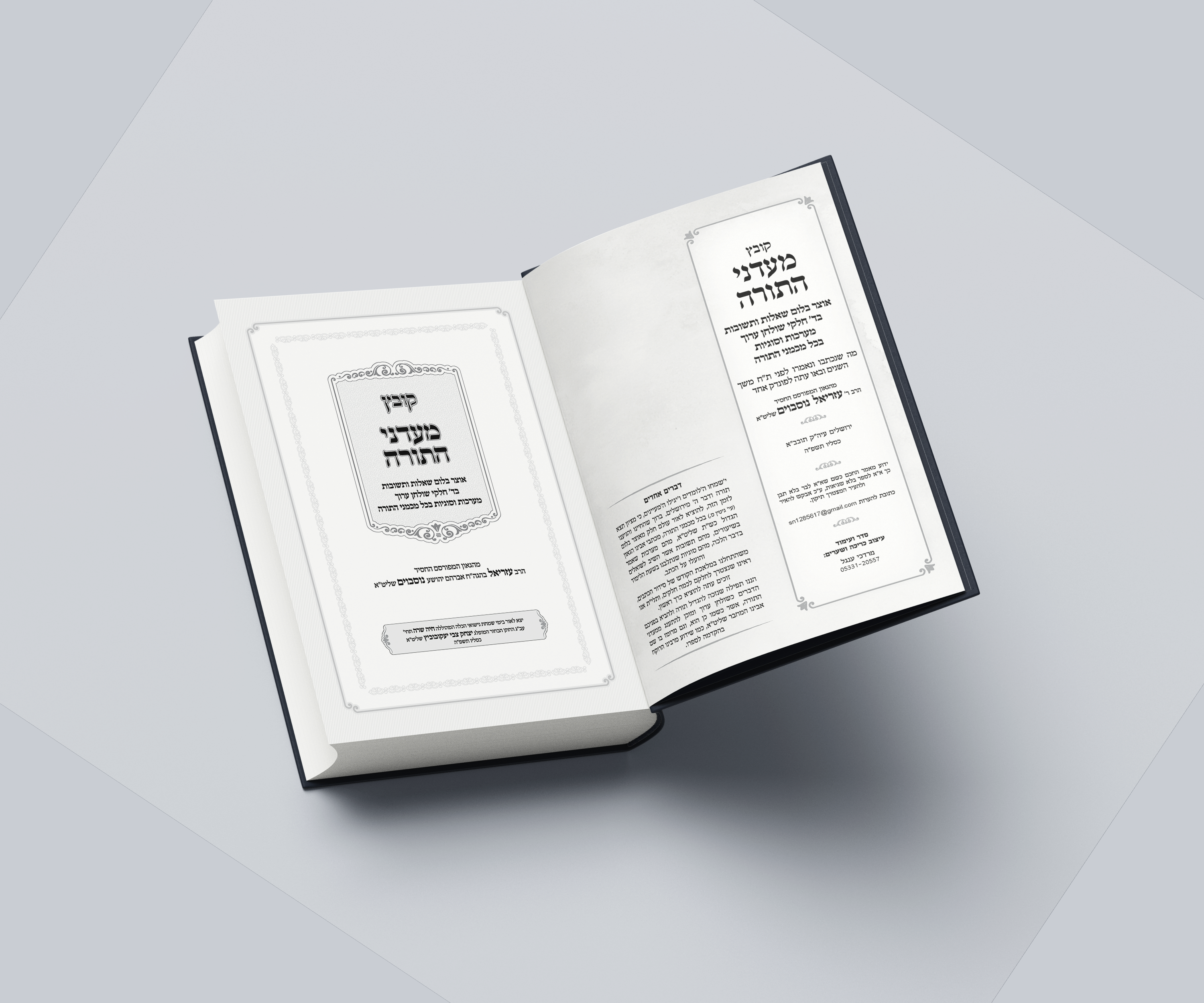 שער מעדני.png