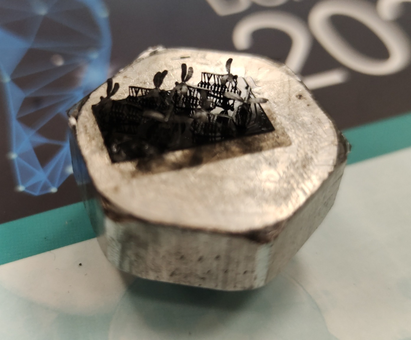 שפירית זעירה - משטח הדפסה עם התמיכות (מעוצבת בהתאם ללוגו של Nano Dimension)