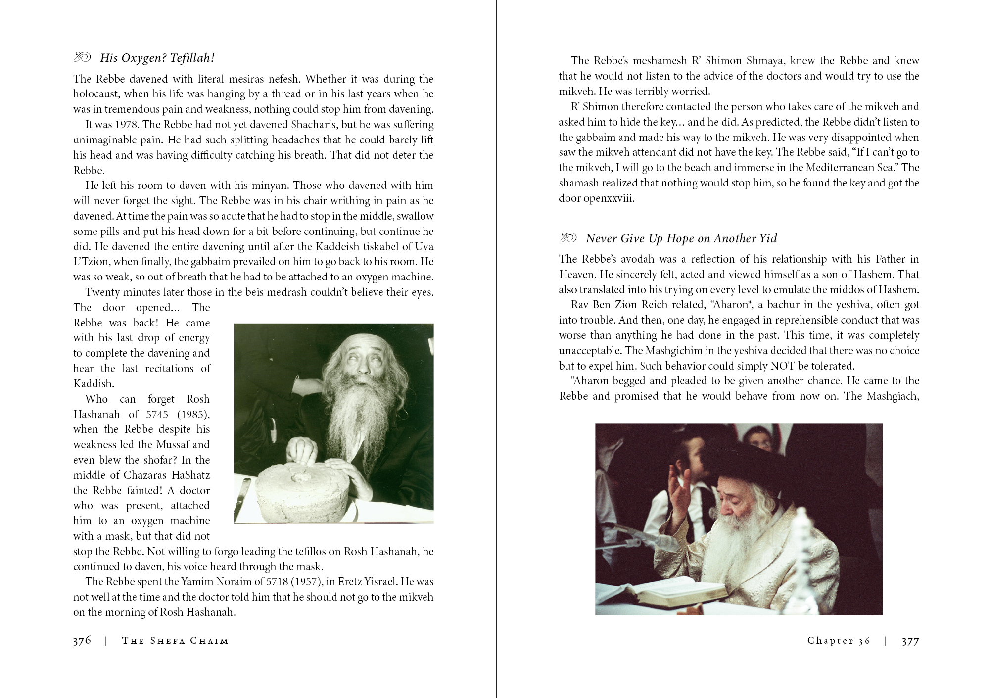 שפע חיים - מהדורה ראשונה - אנגלית - מיפתח 2.png