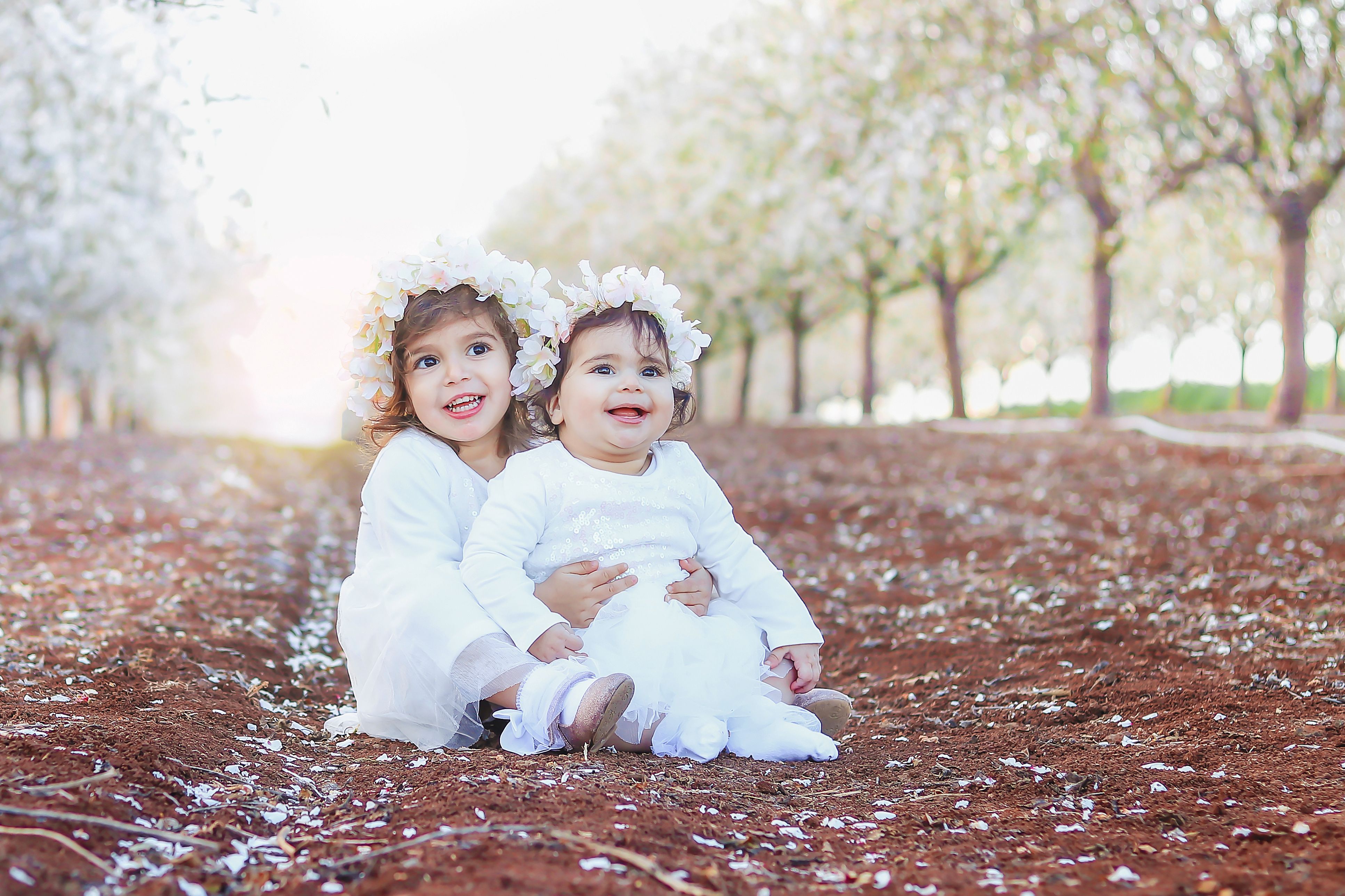 שקדיות טבריה עלית.jpg