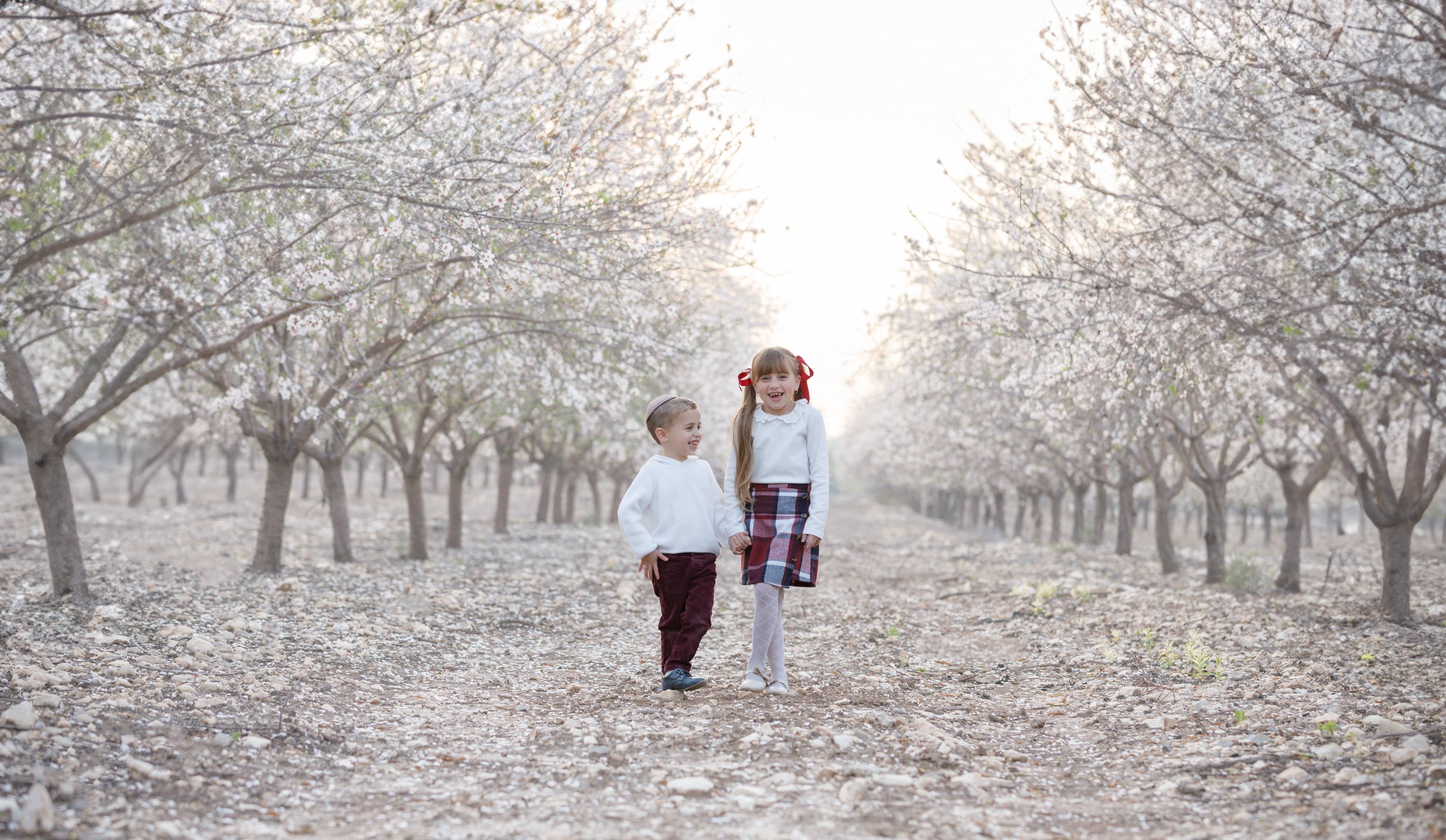 שקדיות  (1).JPG