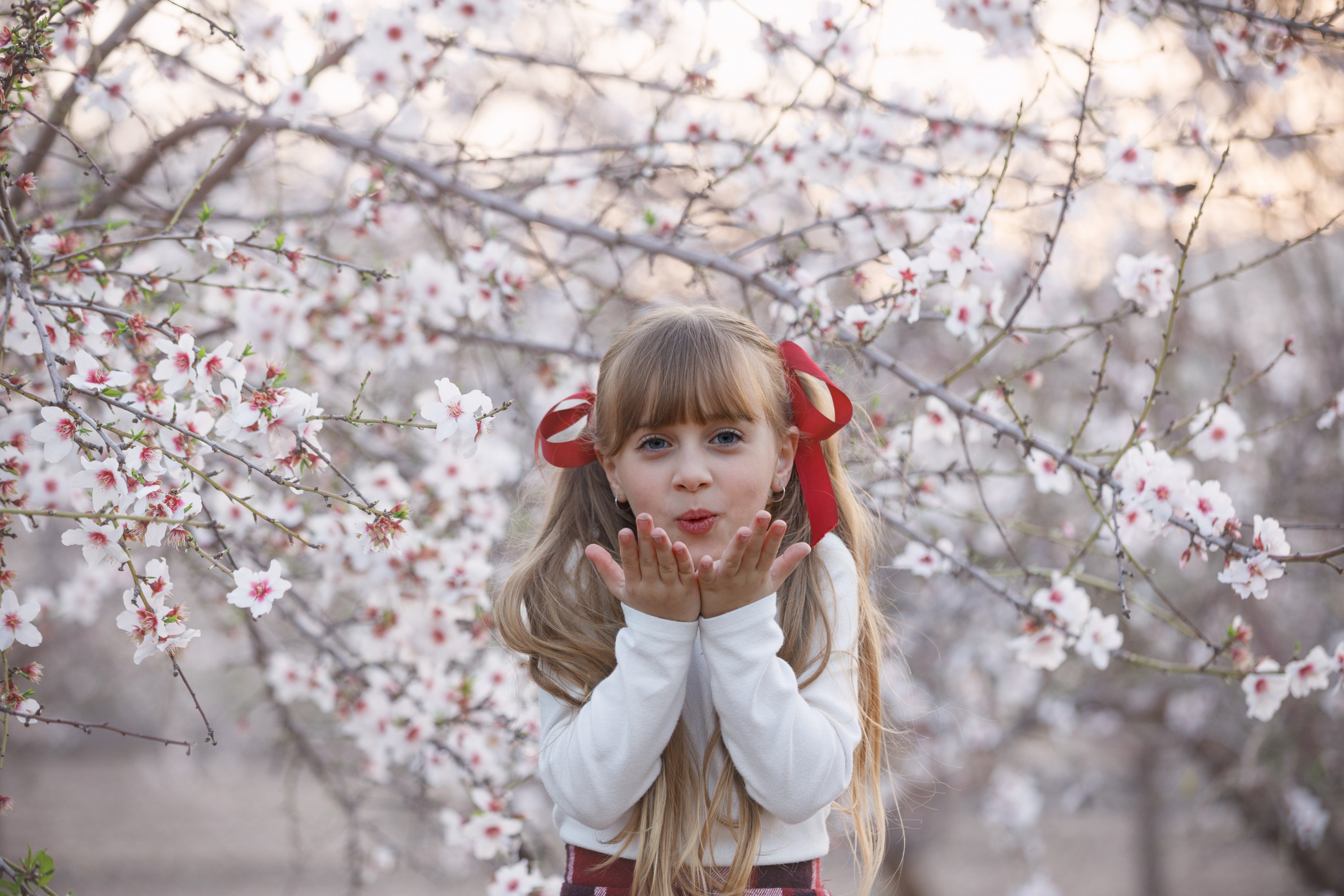 שקדיות  (7).jpg