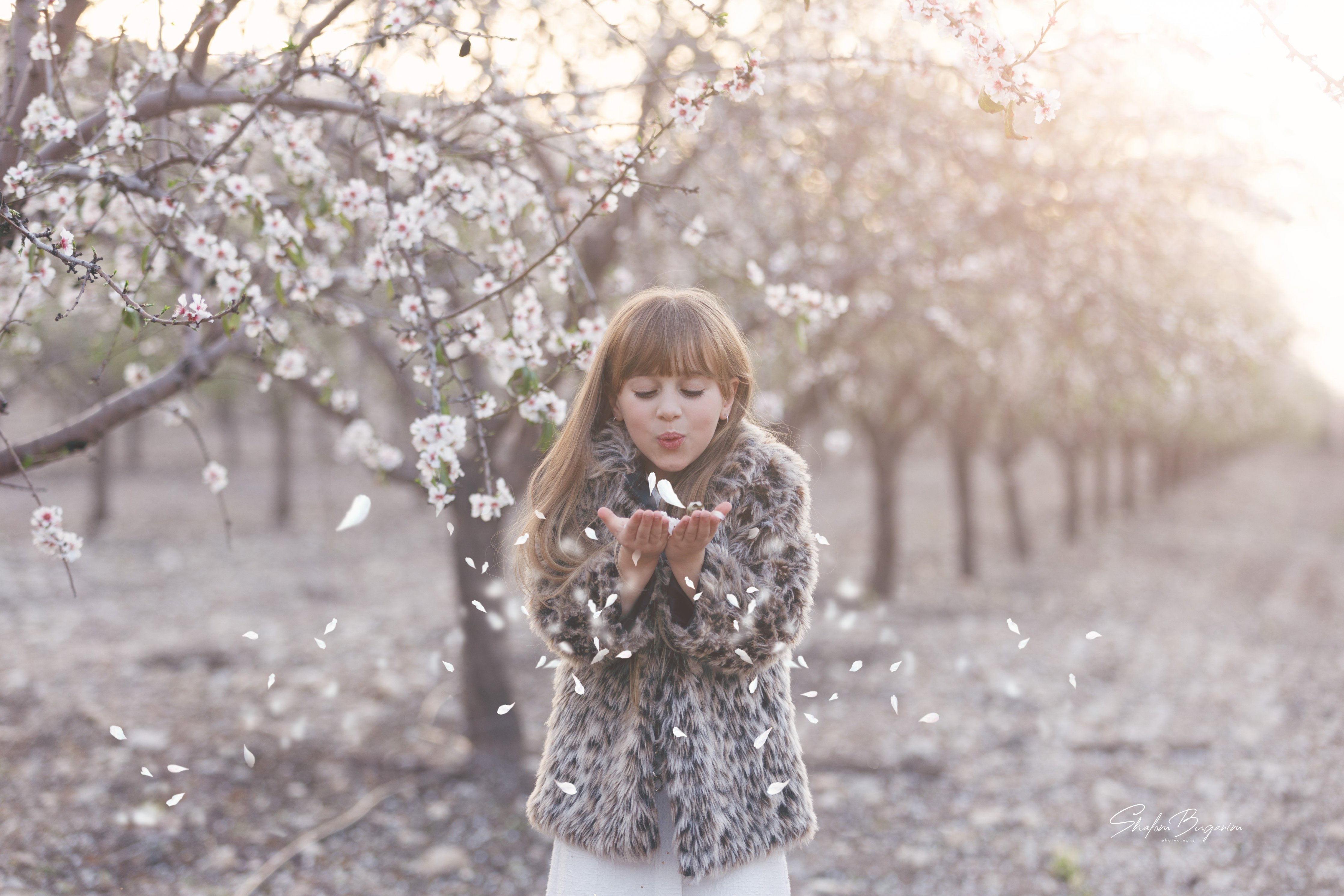 שקדיות  (8).jpg