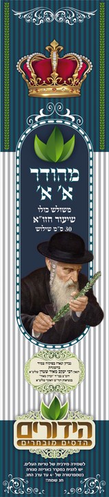 שקית כסופה     01 (Copy)