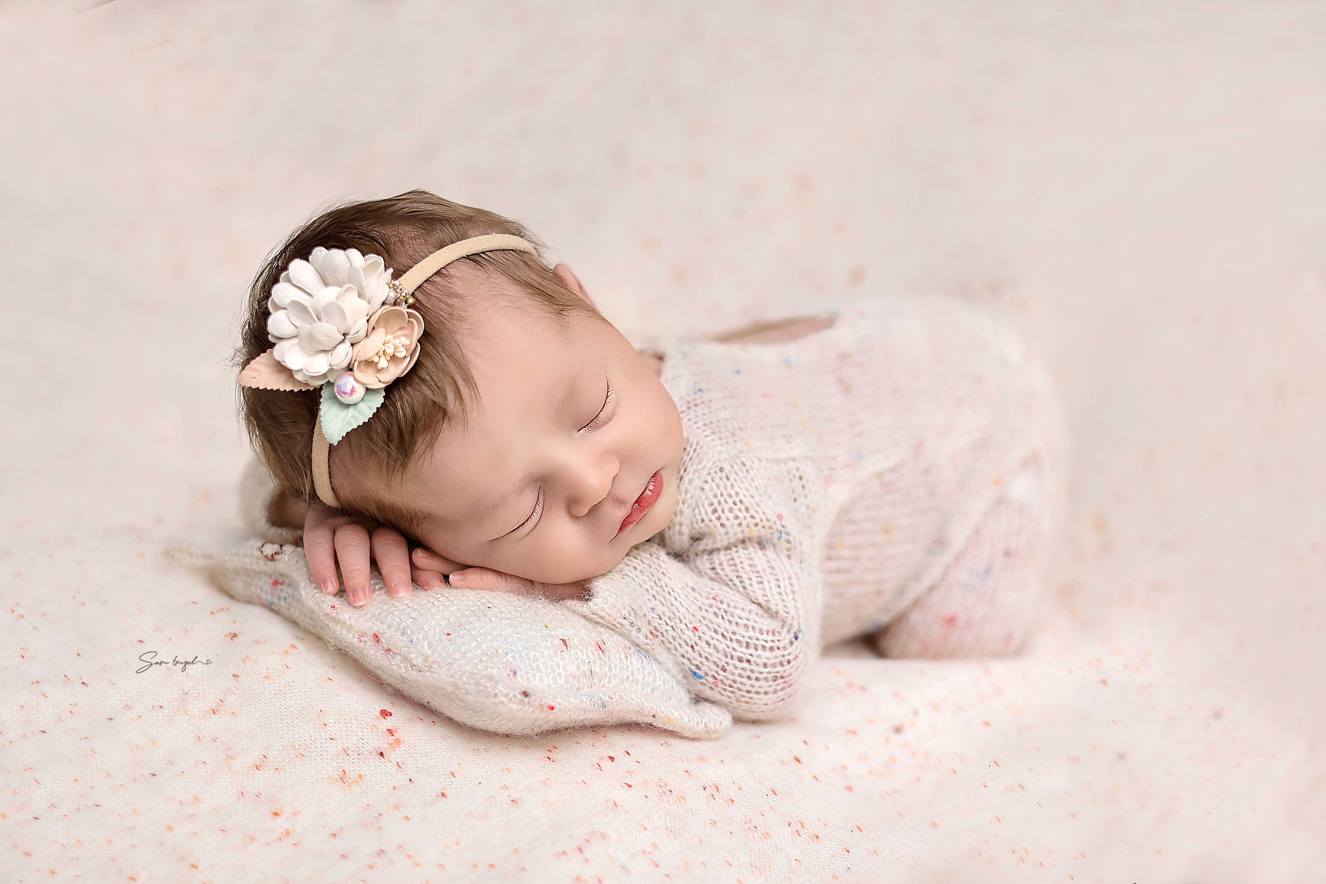 שרי פריזל צלמת 055-6786765 (23).jpg