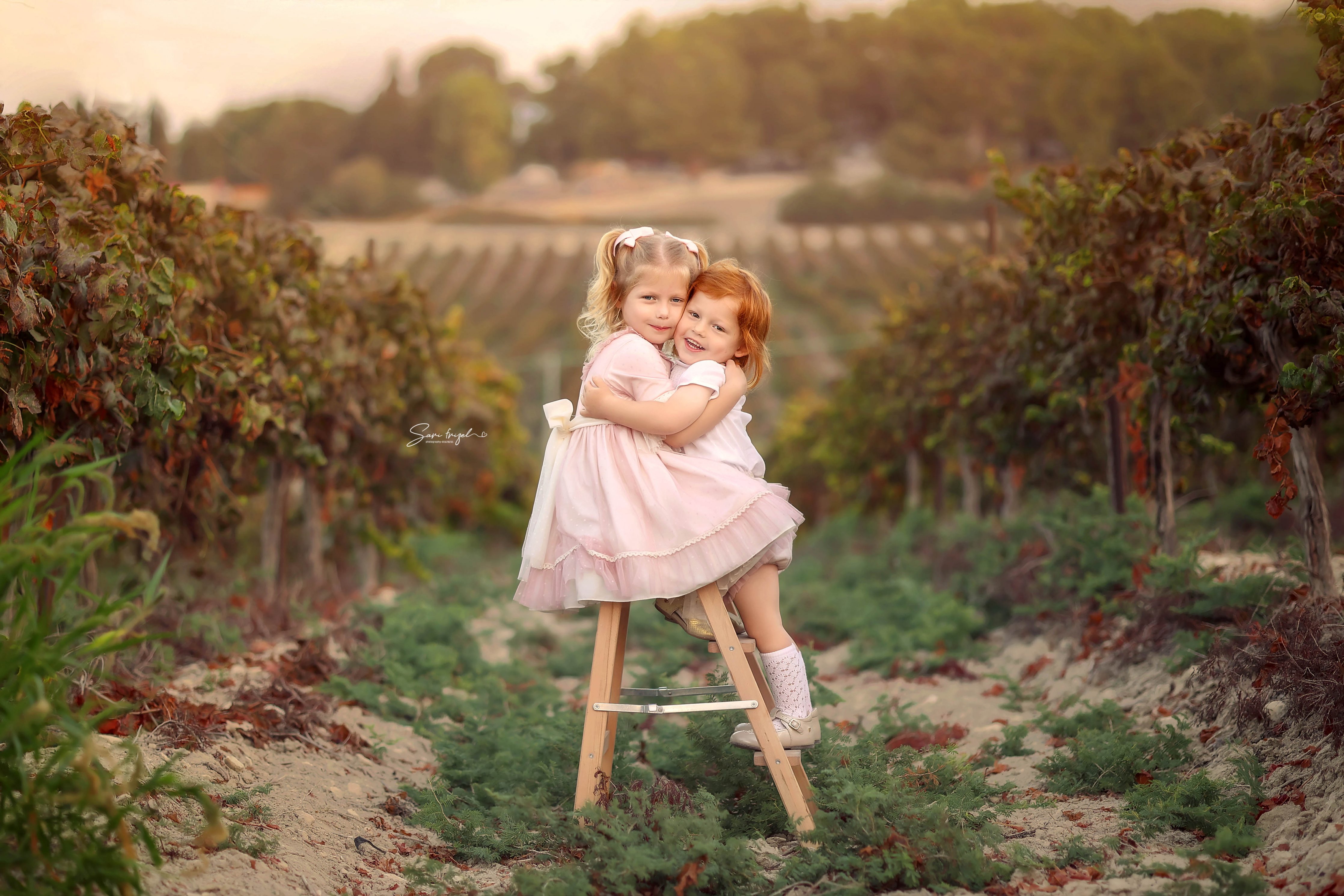 שרי פריזל צלמת 0556786765 (2).jpg