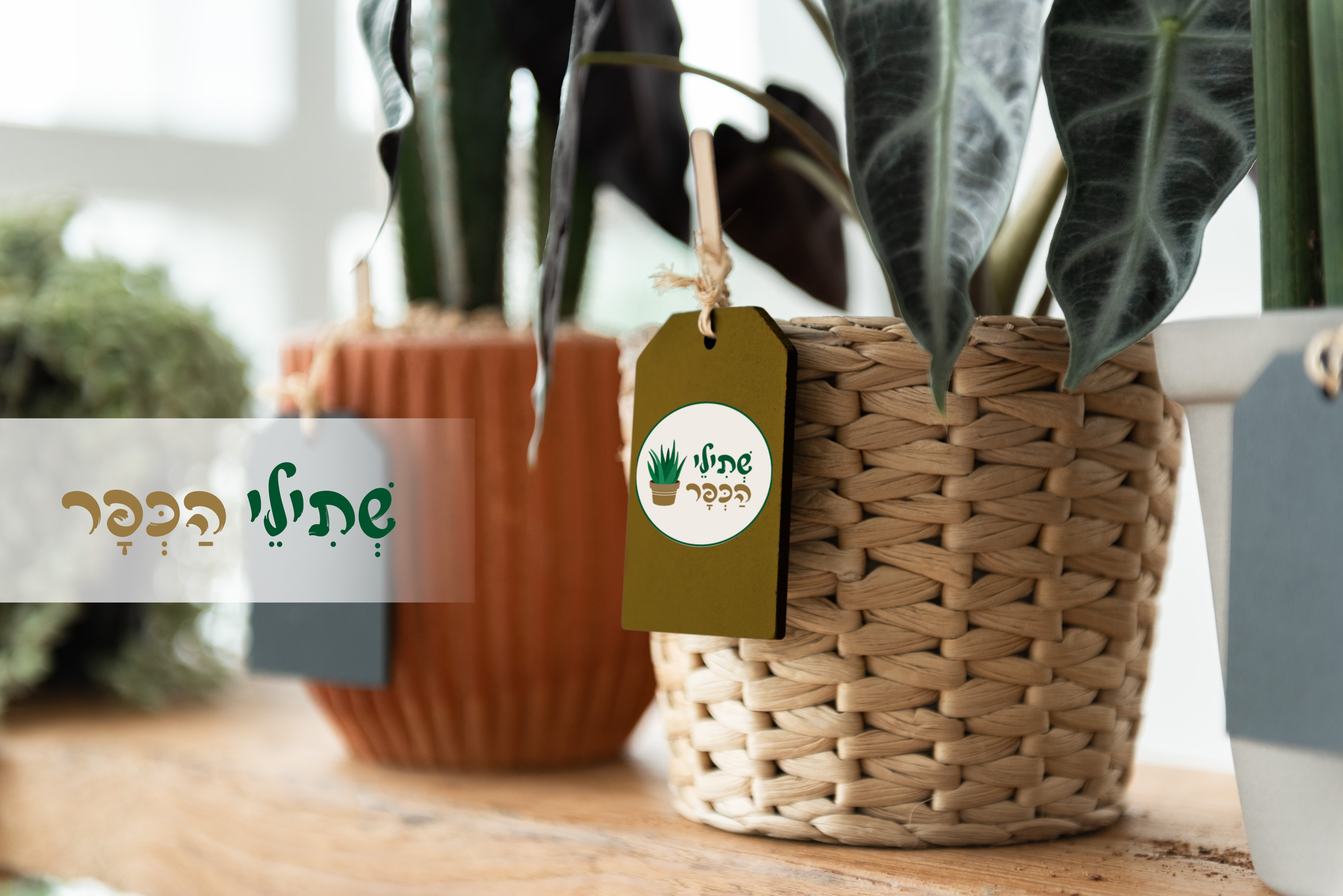 שתילי הכפר תווית.jpg