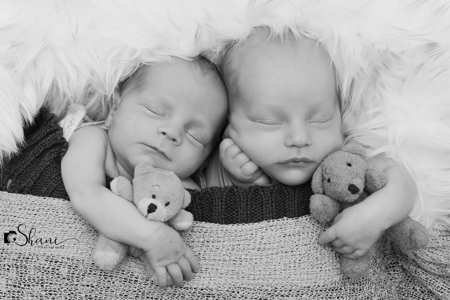 ש.ל מוקטן.jpg