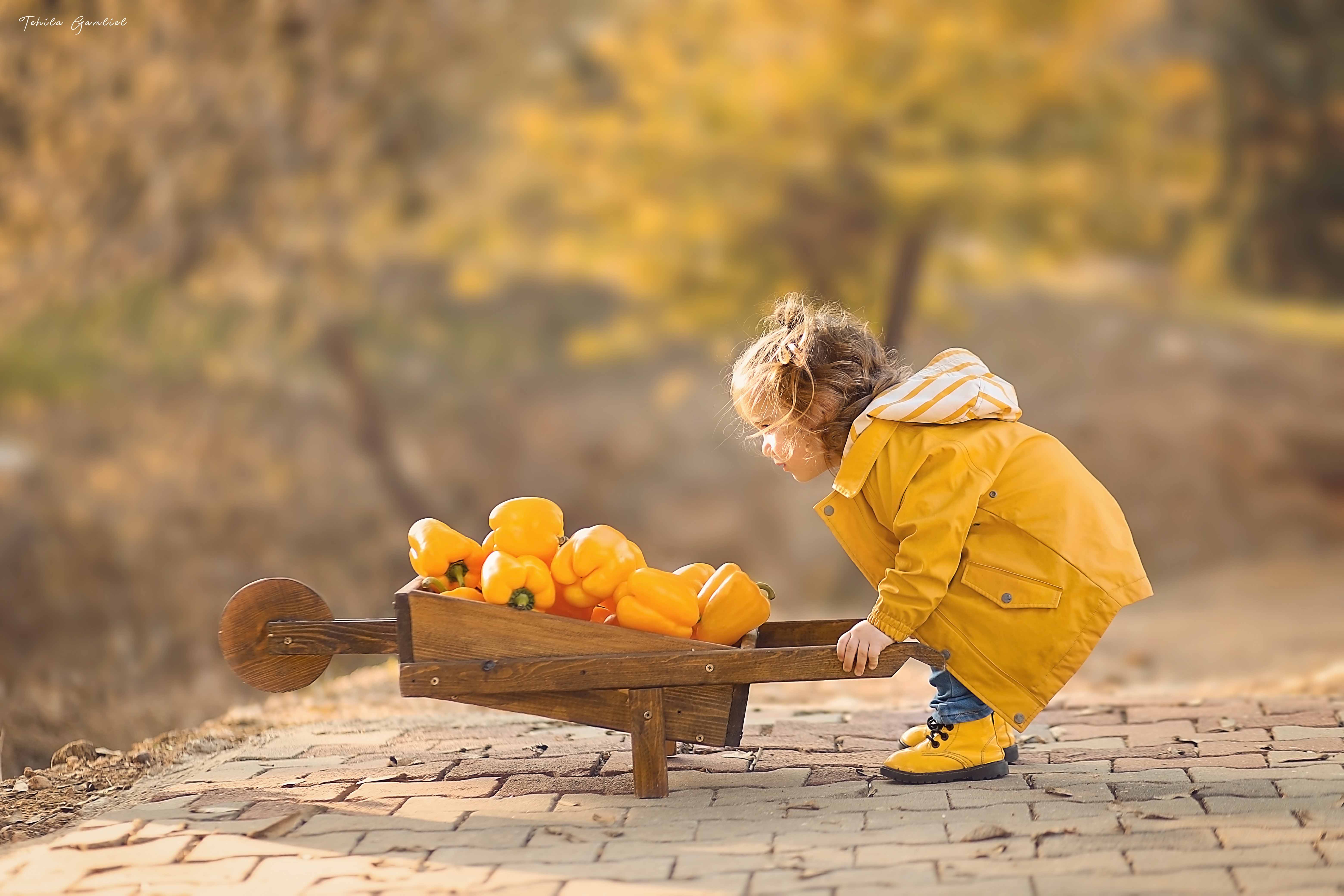 תהילה גמליאל 0556783301