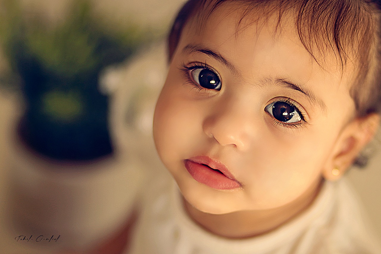 תהילה גמליאל