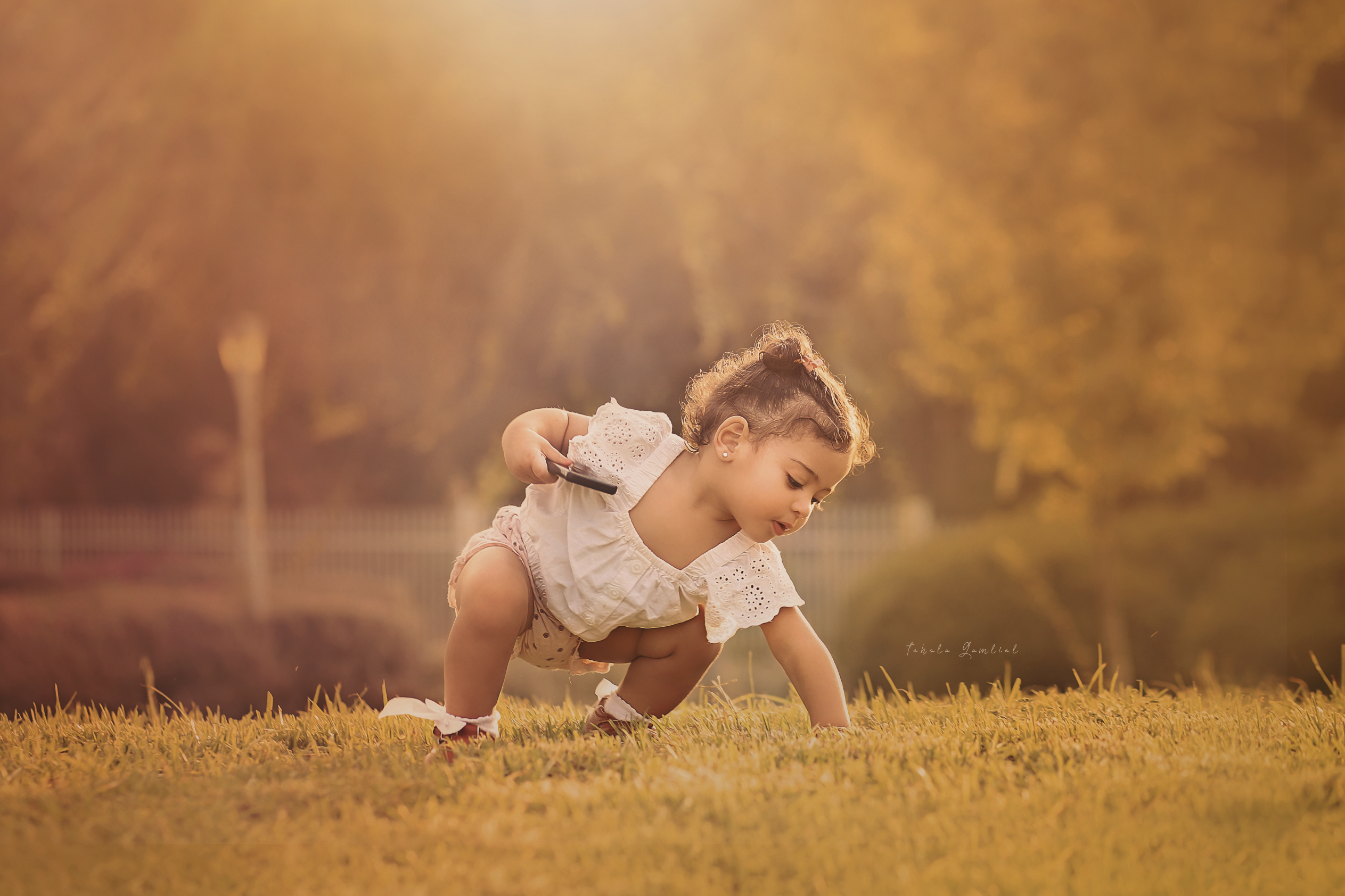 תהילה גמליאל