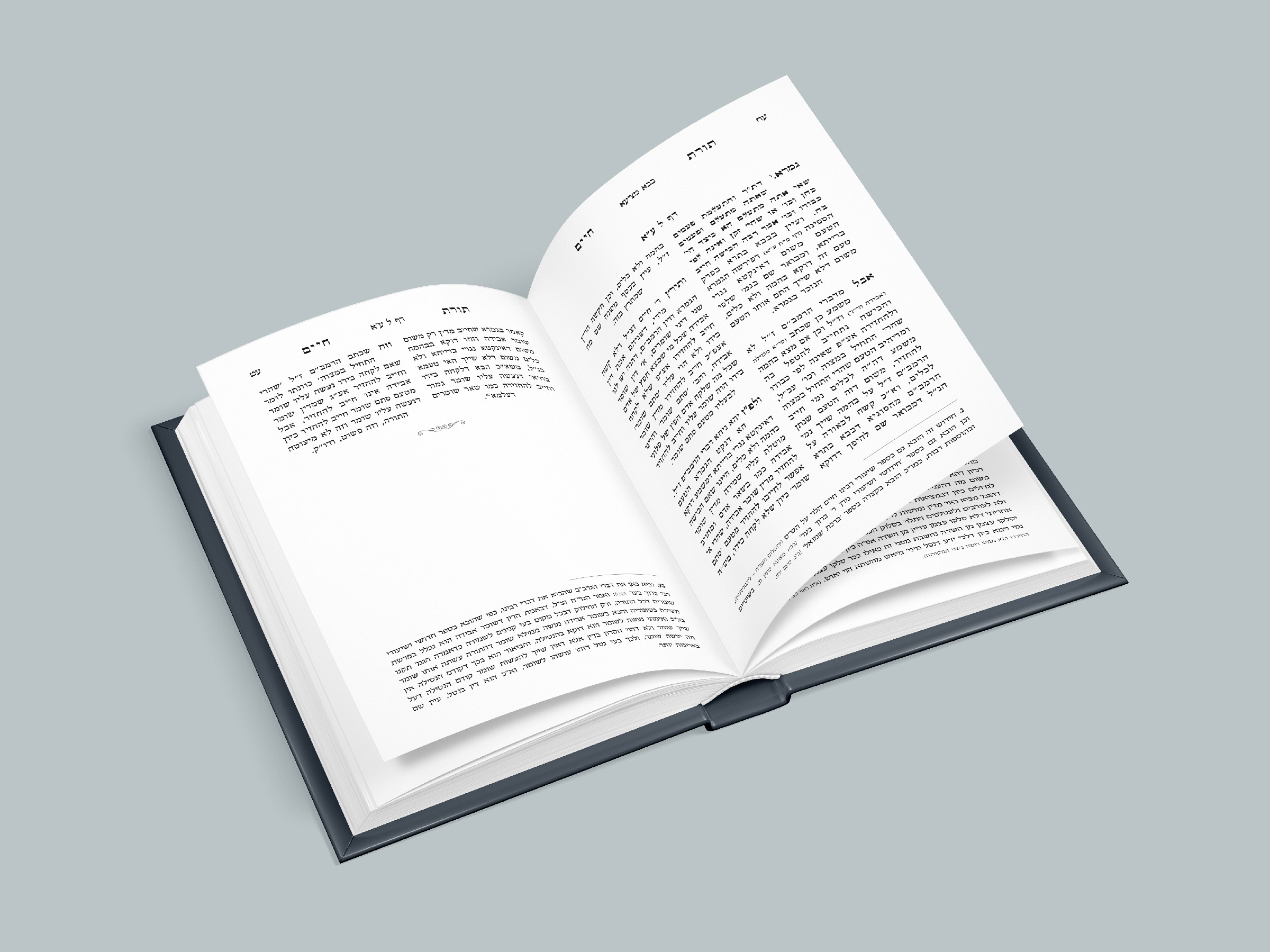 תורת חיים תשפד~1.jpg