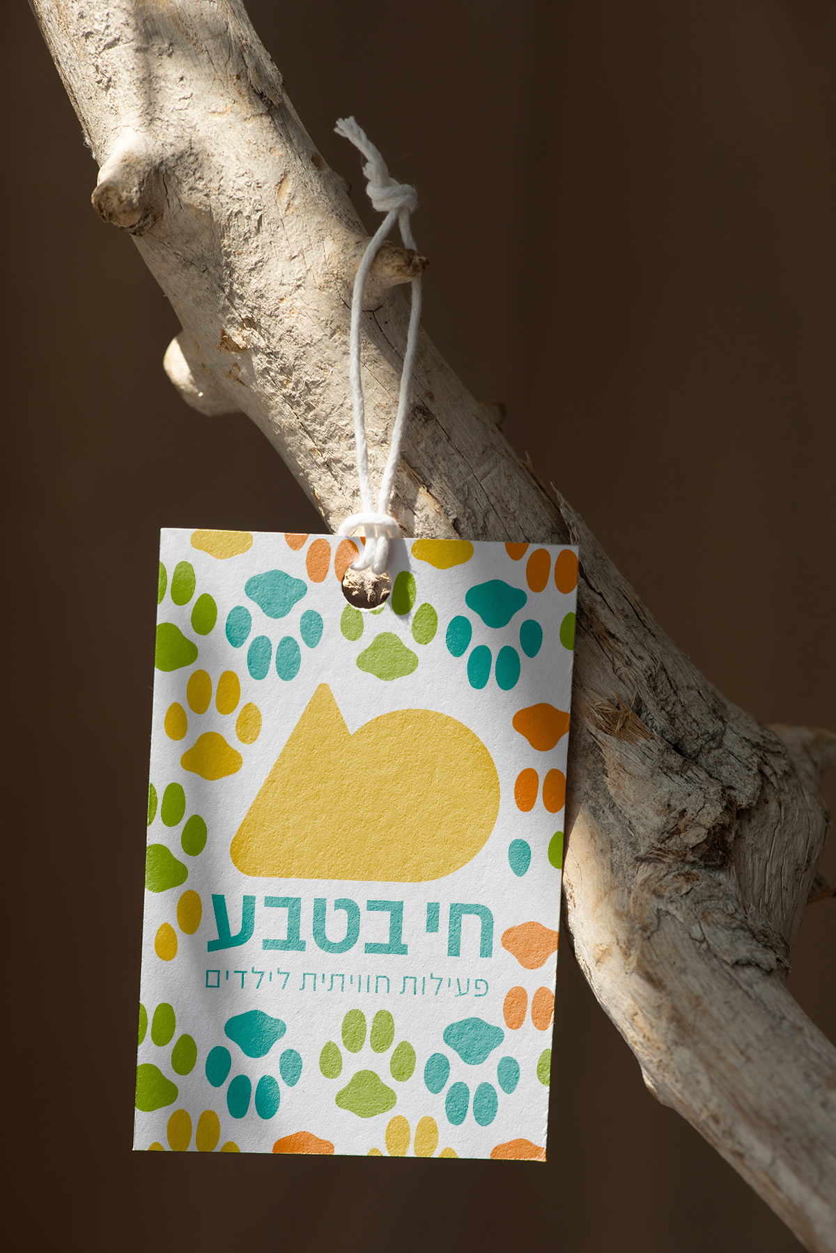 תיקט חי בטבע עם פטרן תלוי על עץ.jpg