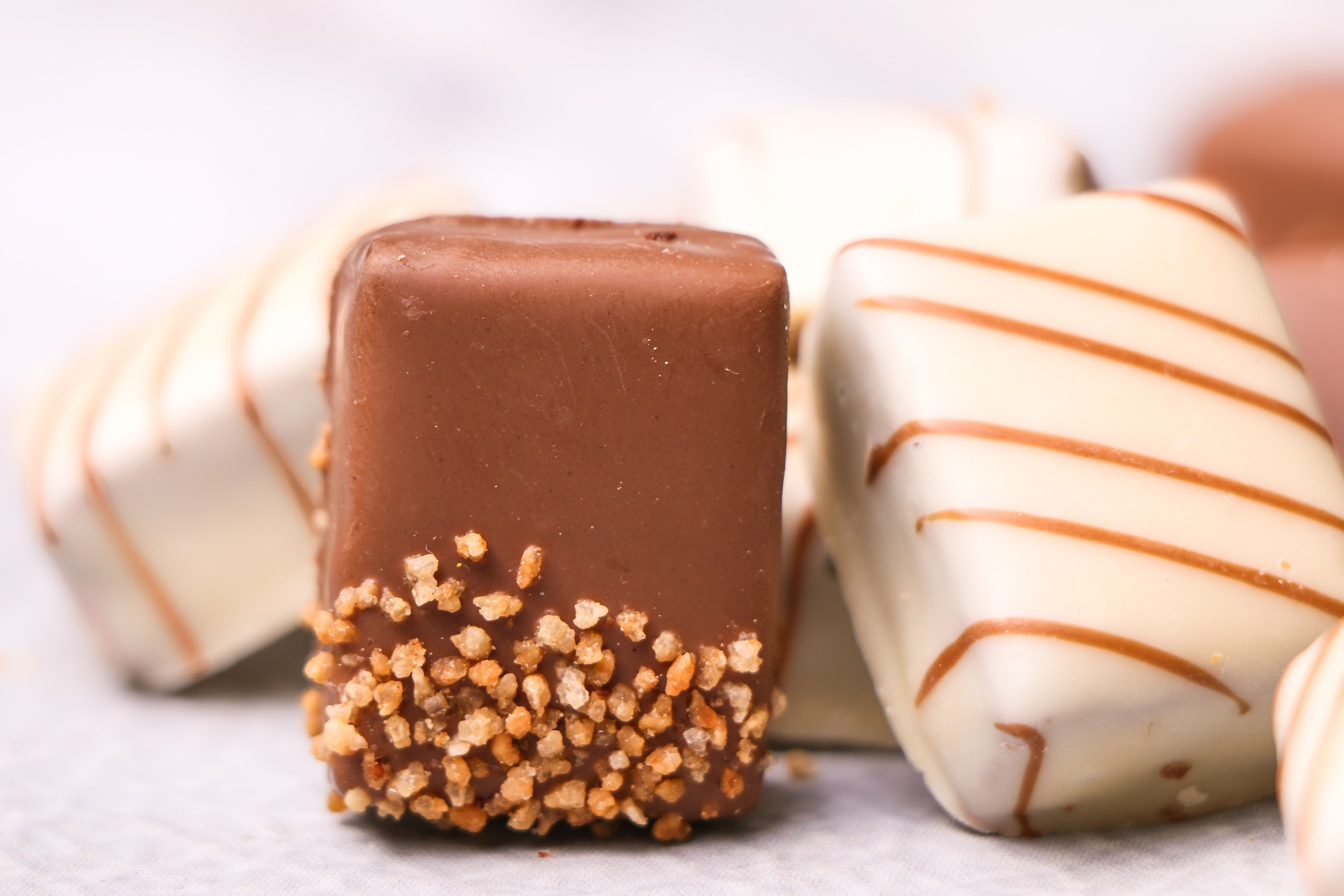 תיק סטודיו (4)-2.JPG