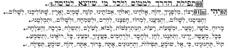 תיק עבודה תפילת הדרך.png