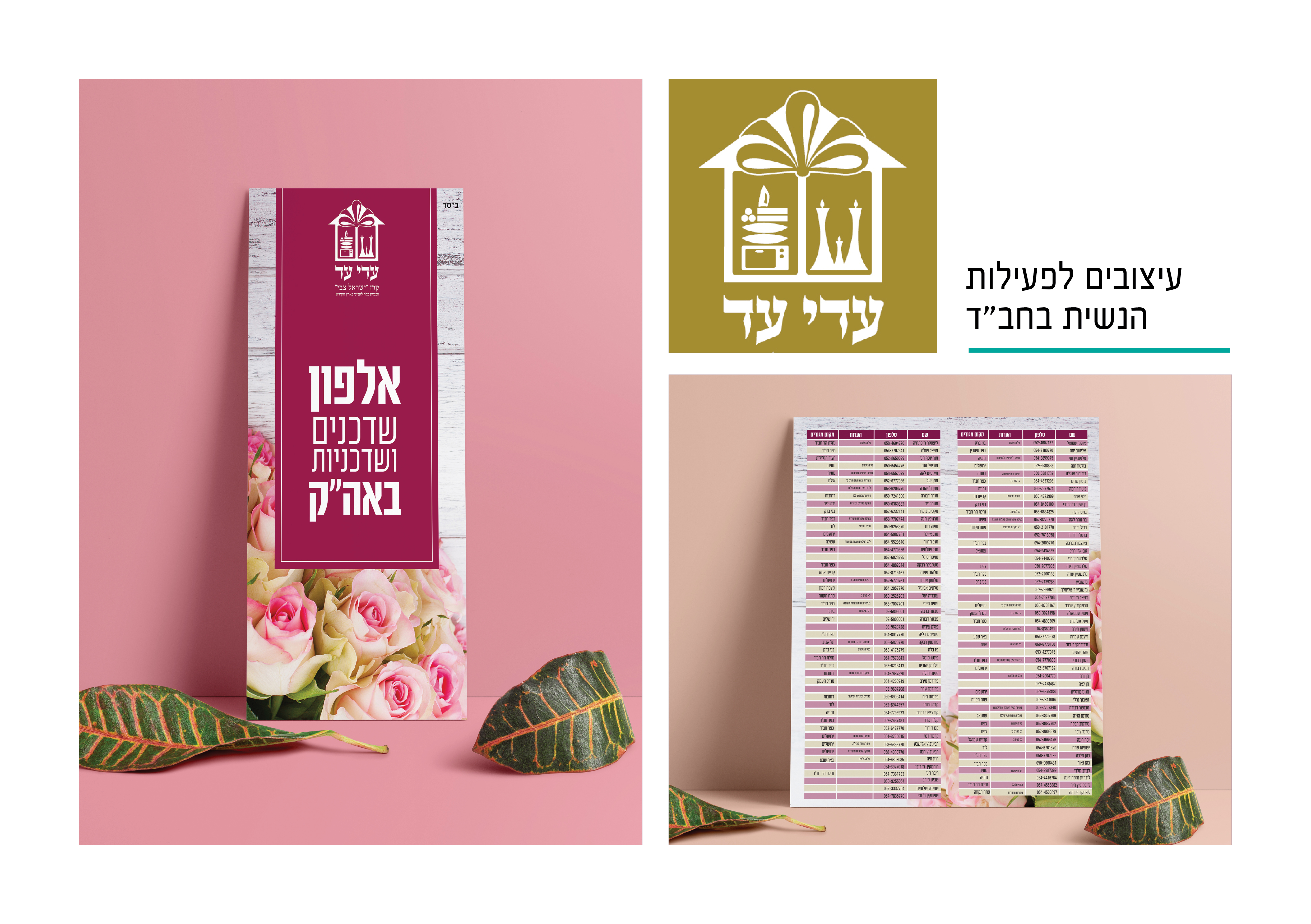 תיק עבודות אמיתי גרפיקה19