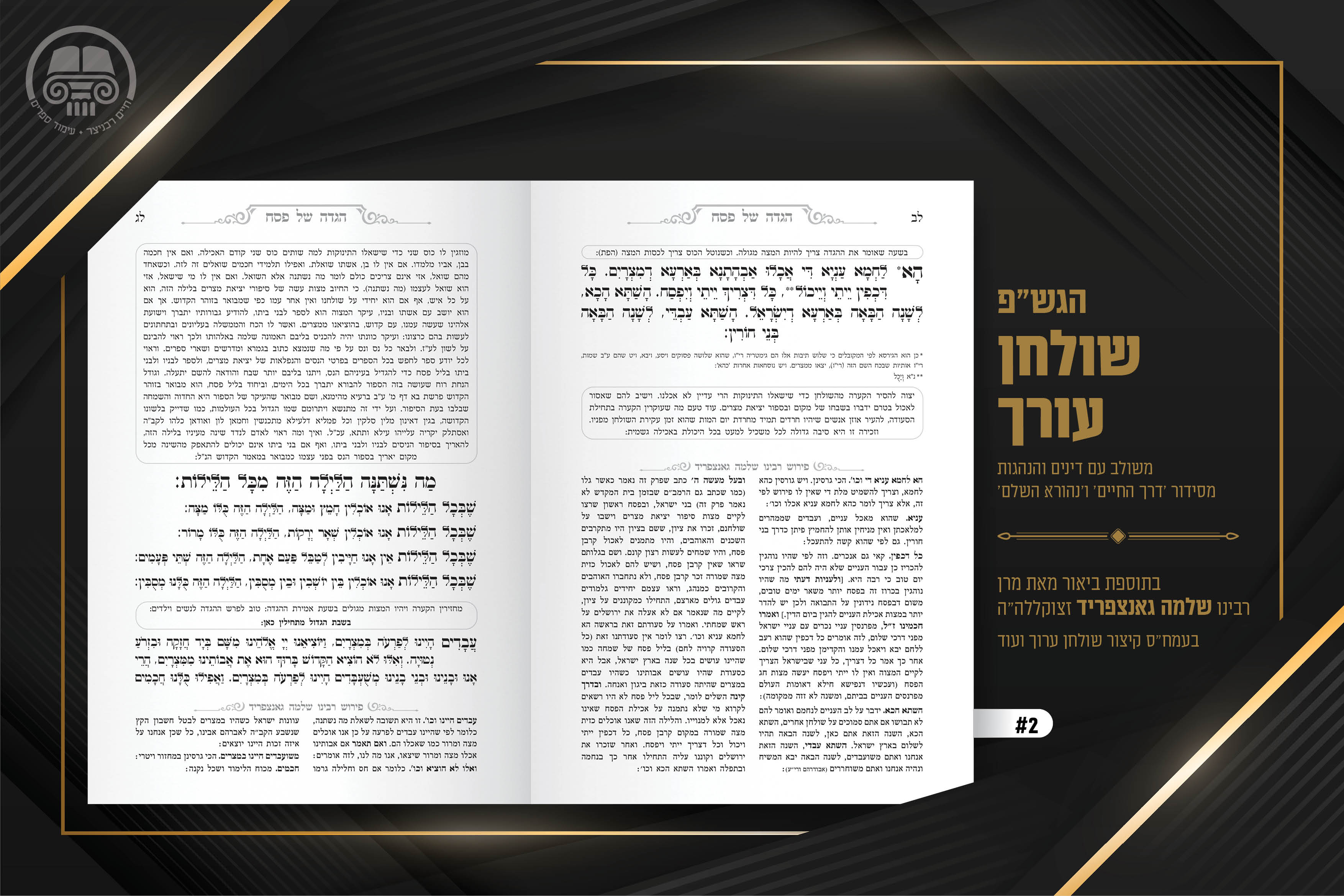 תיק עבודות עימוד חיים רכניצר - אייר תשפג6.jpg