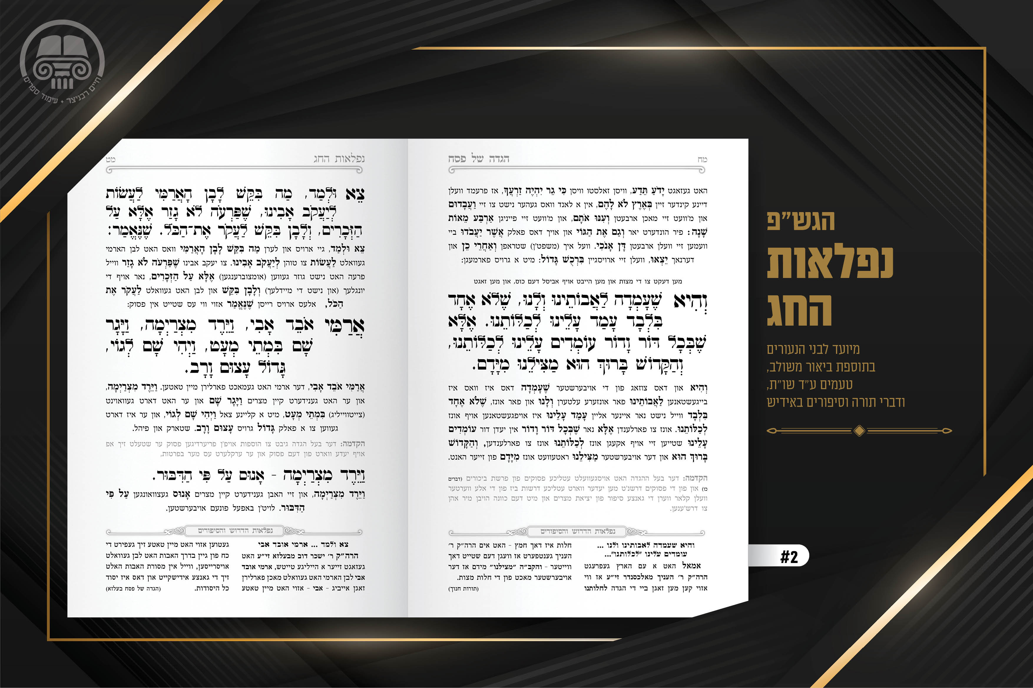 תיק עבודות עימוד חיים רכניצר - אייר תשפג8.jpg