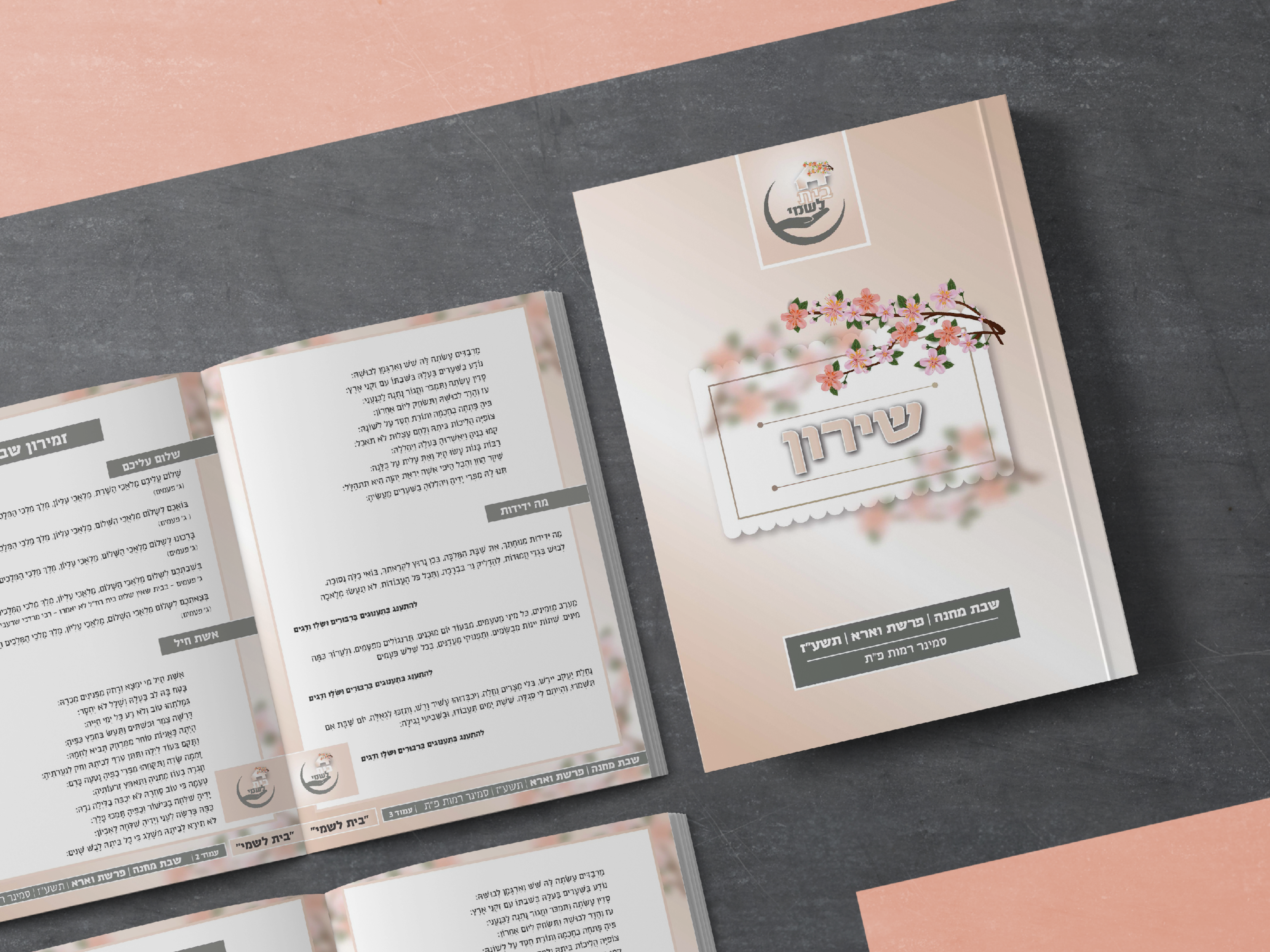 תיק עבודות2