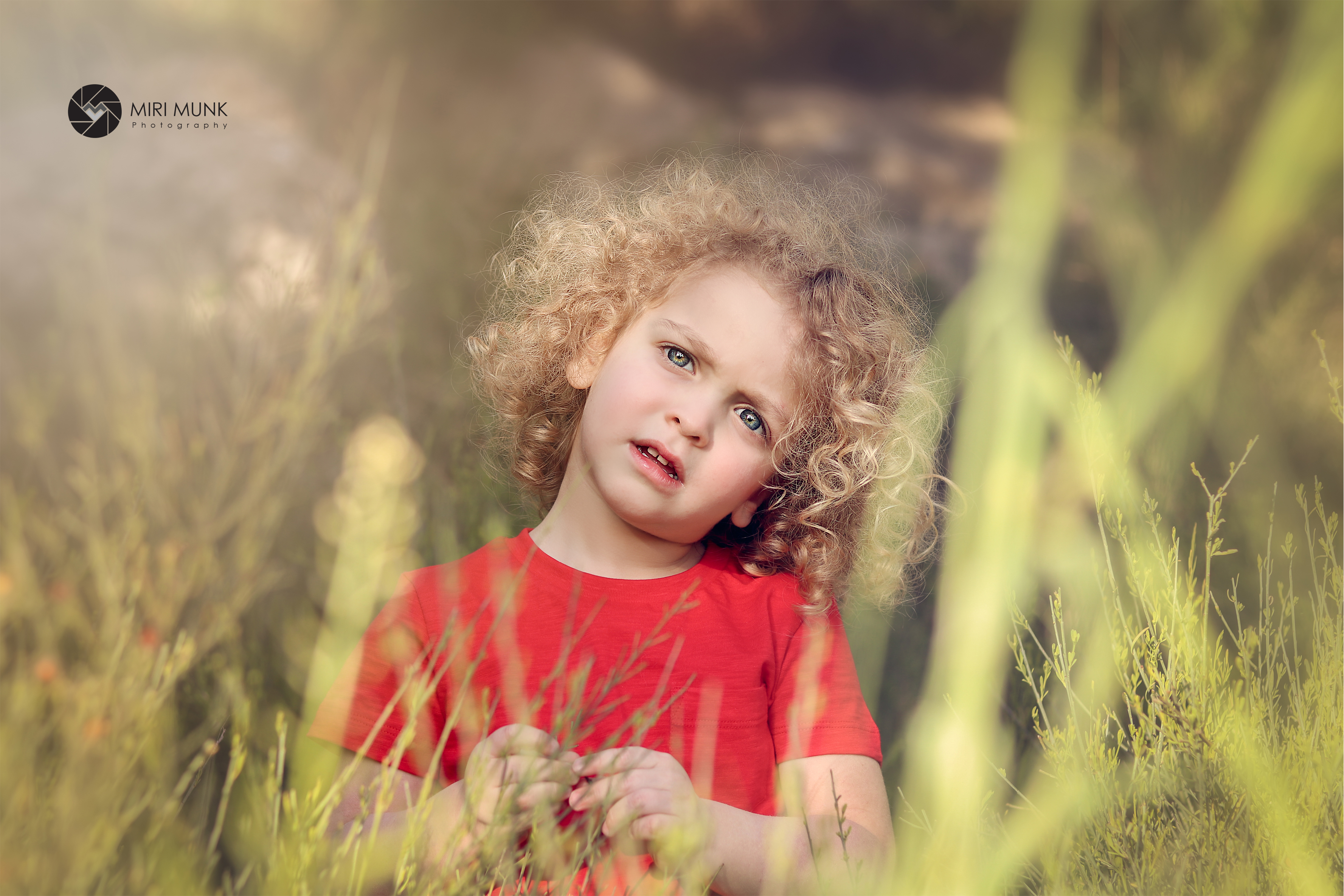 תלתל'ז בין השיבולים