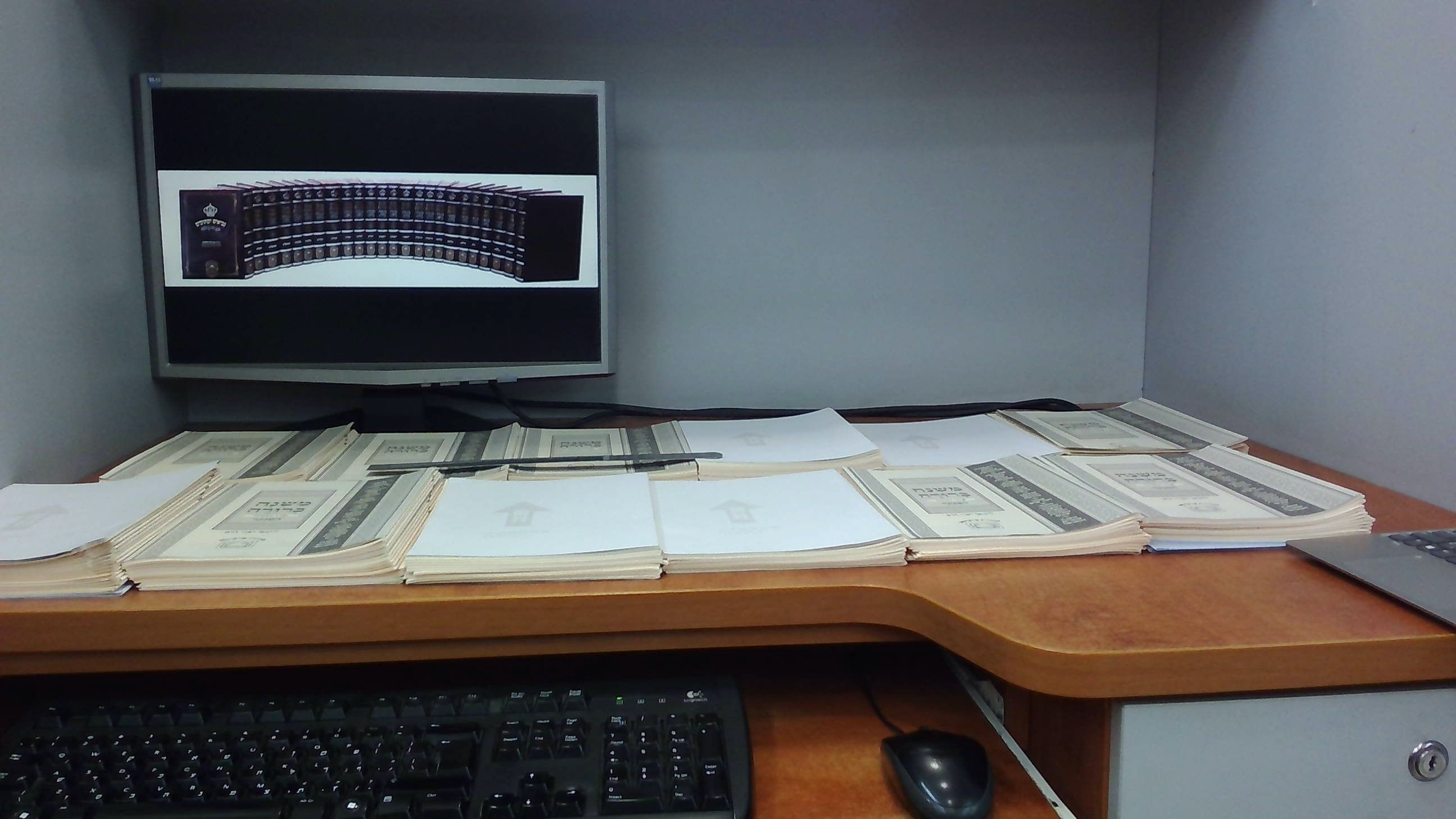 תמונה גליונות.jpg