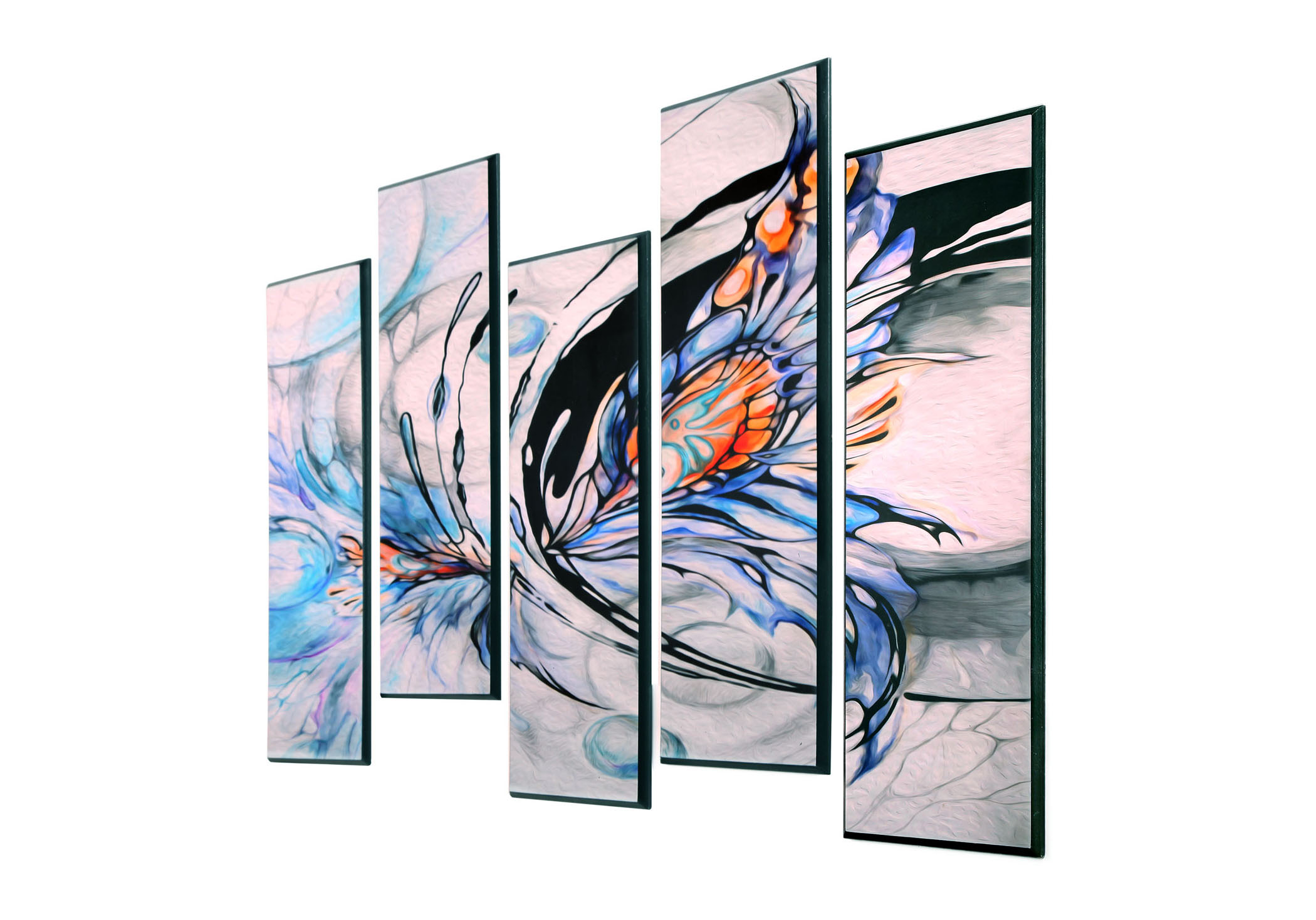 תמונה מחולקת