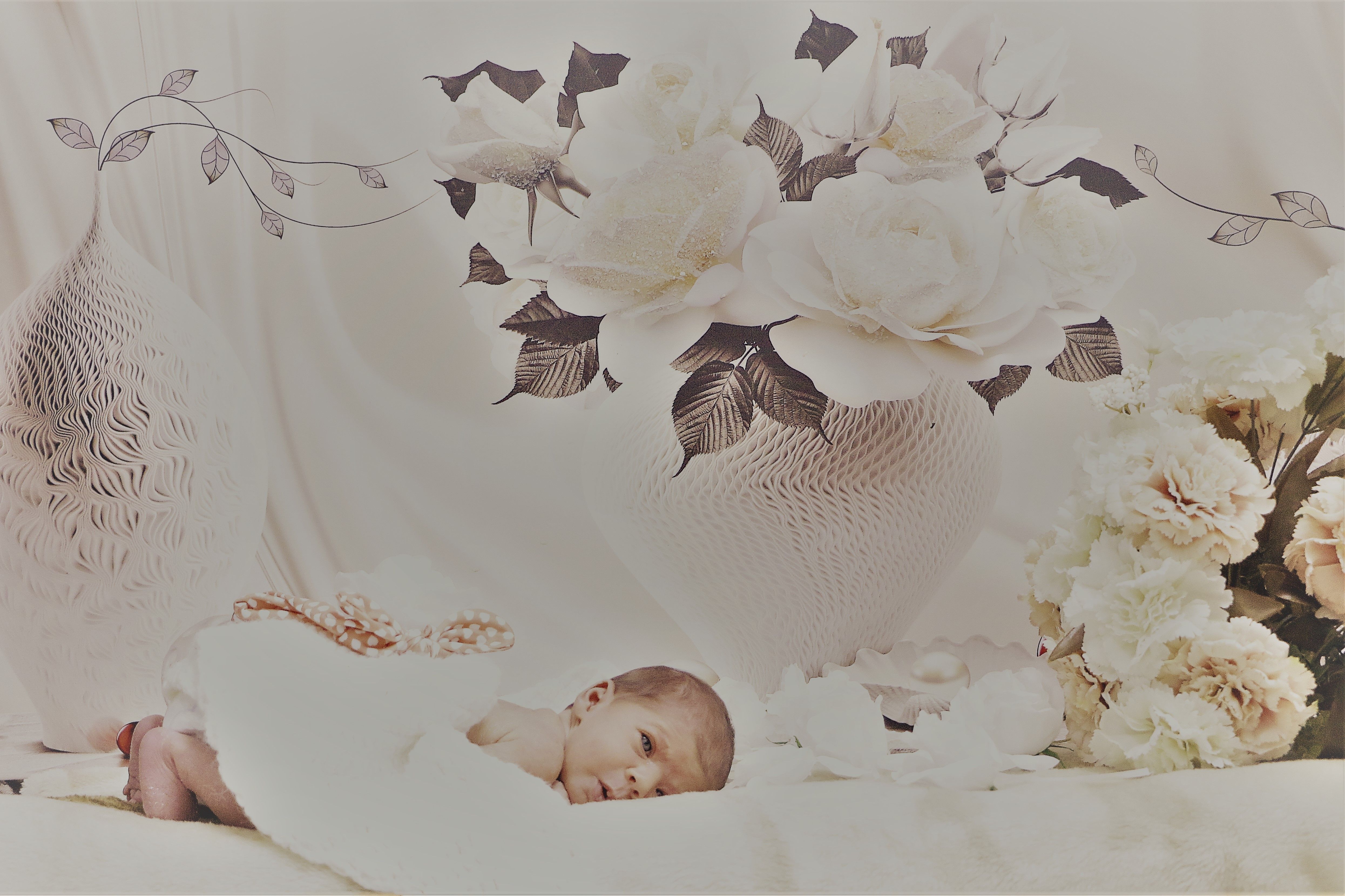 תמונה ניובורן