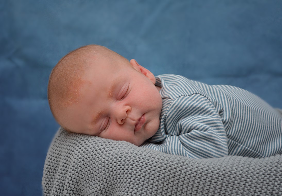 תמונה ניו בורן