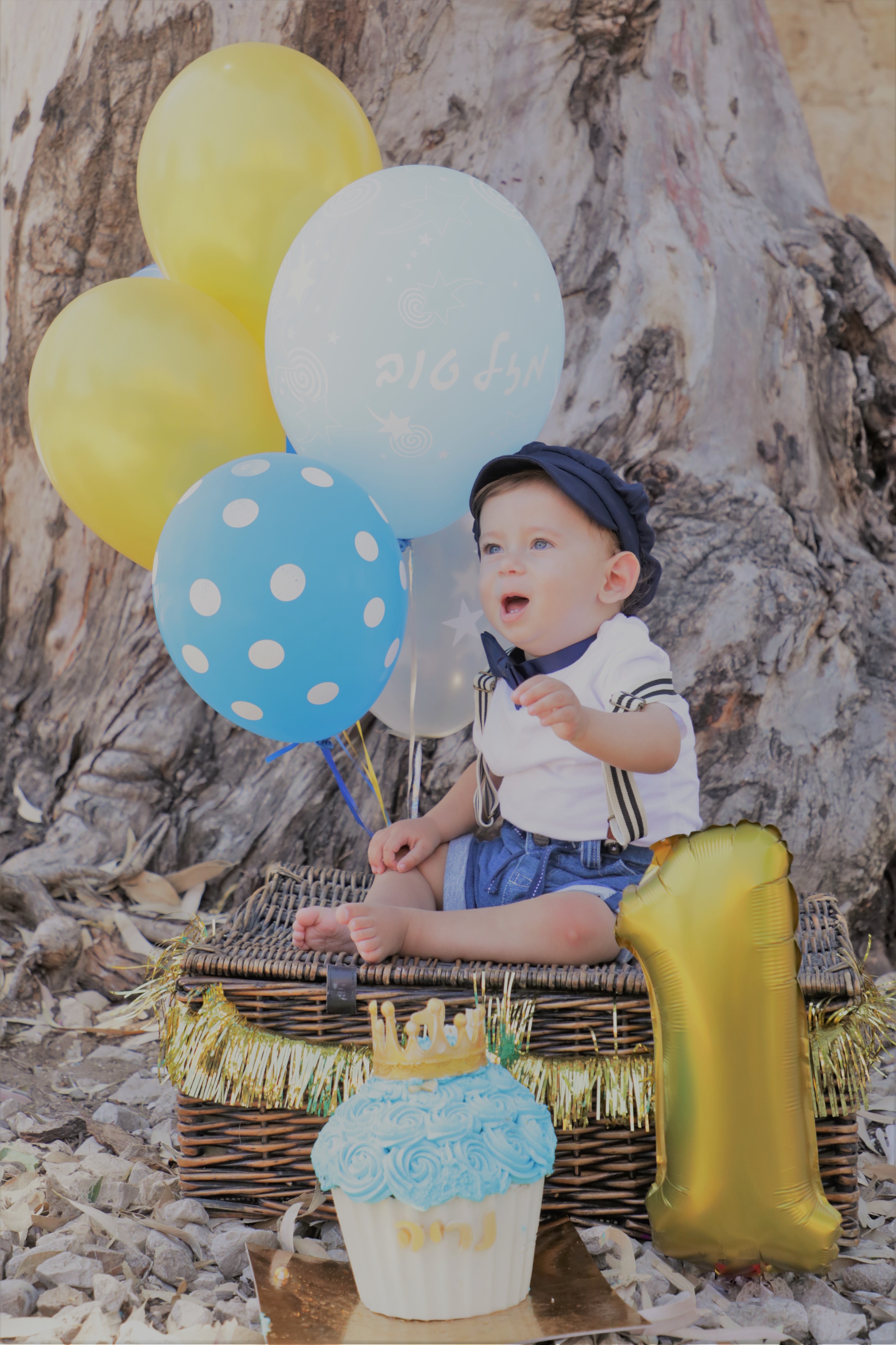 תמונה סמאש קייק גיל שנה