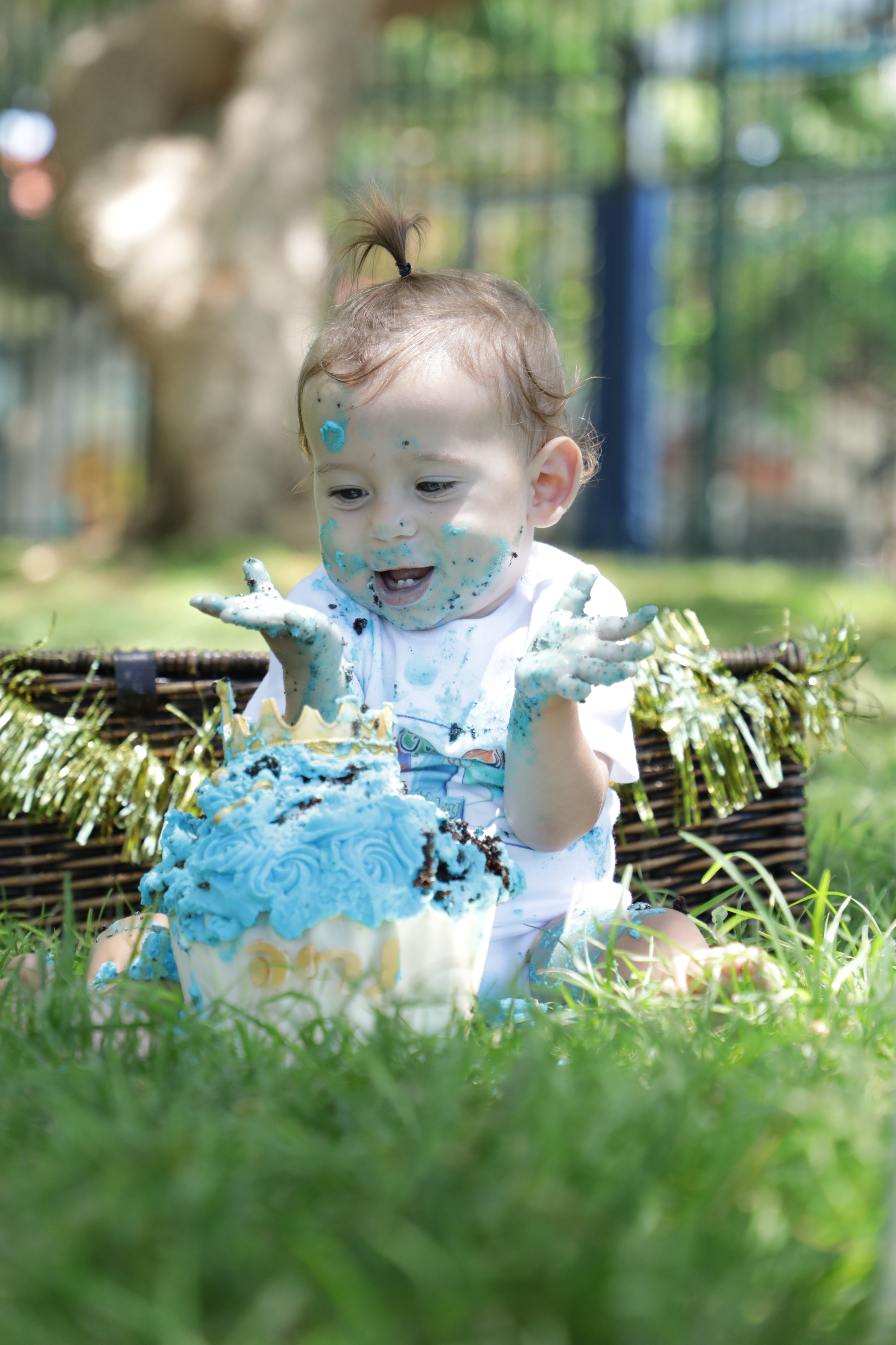 תמונה סמאש קייק גיל שנה