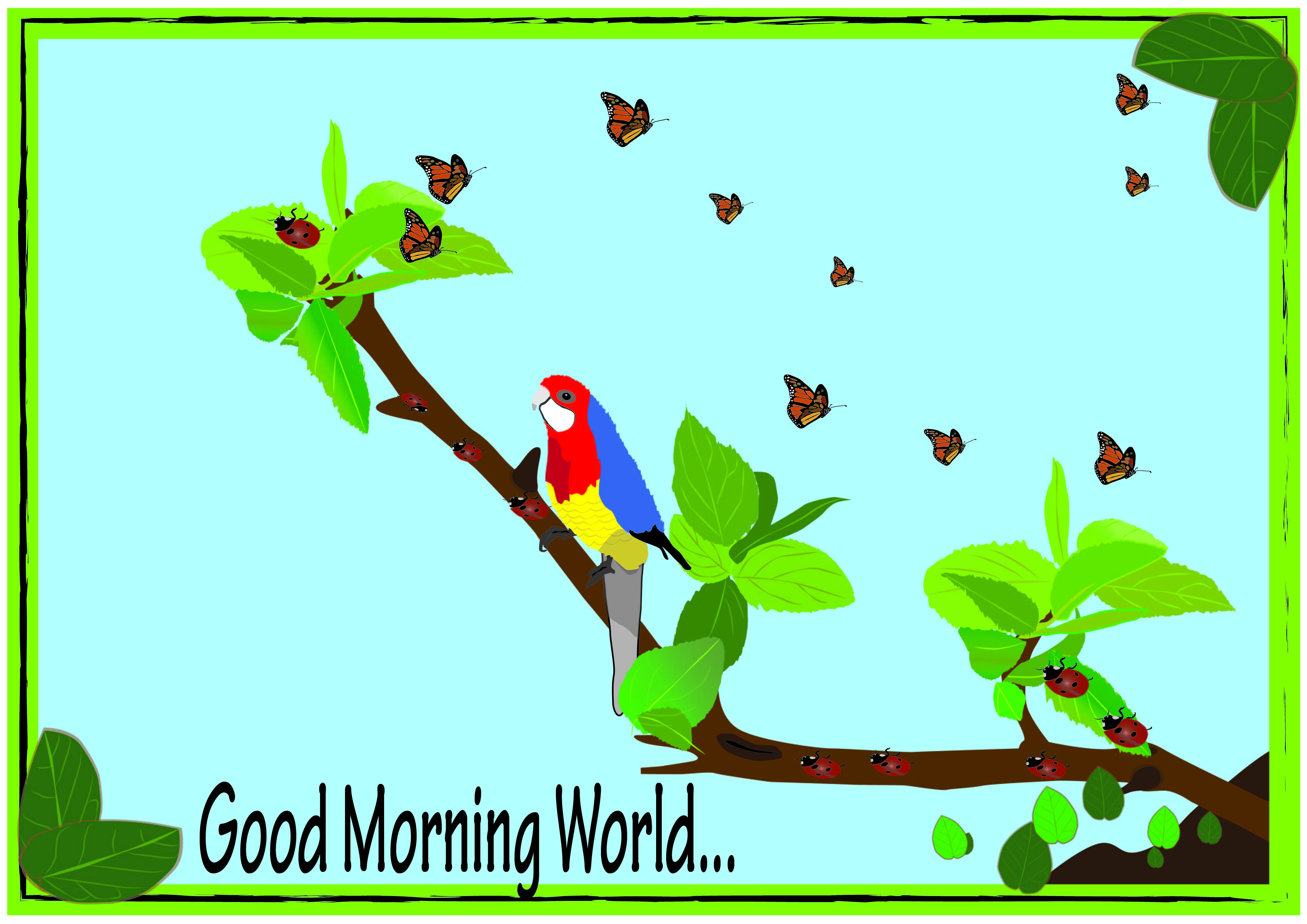 תמונה ציורית 01