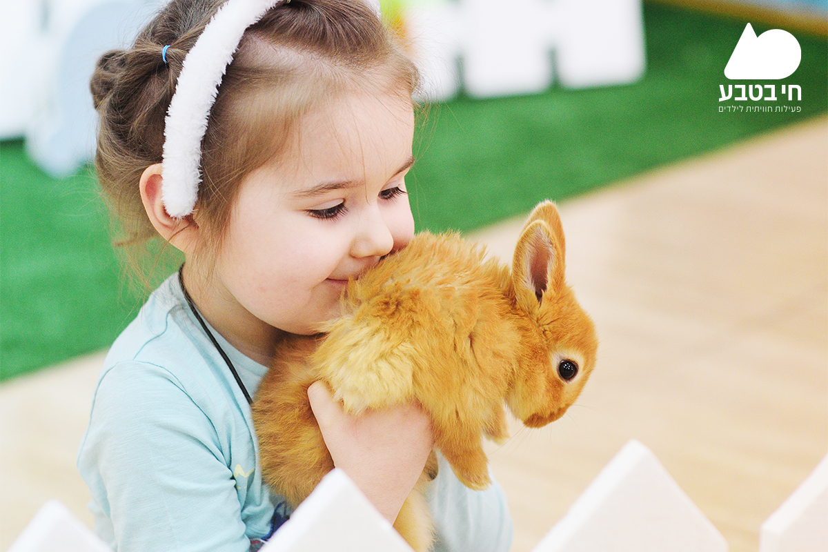 תמונת אוירה 1.jpg