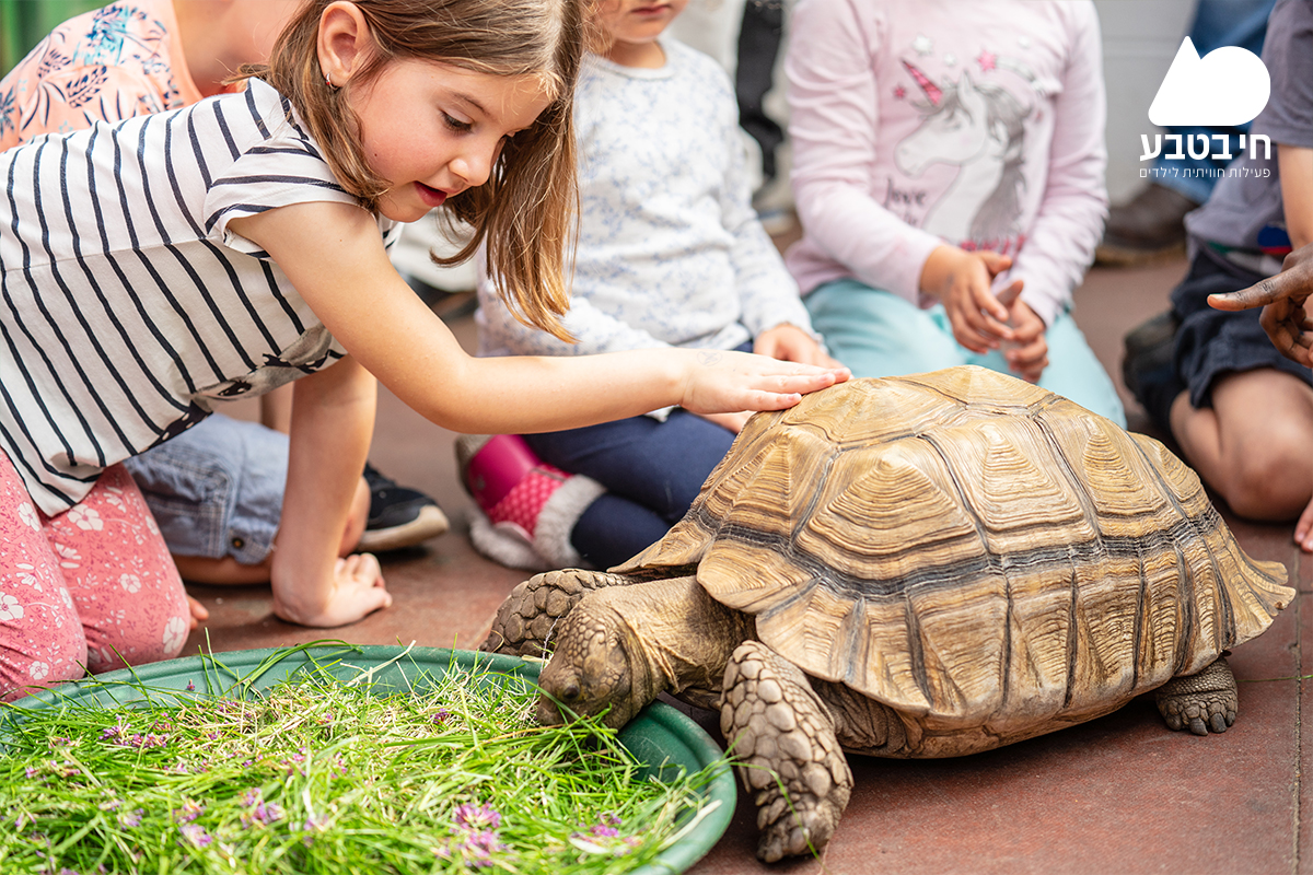 תמונת אוירה 2.jpg