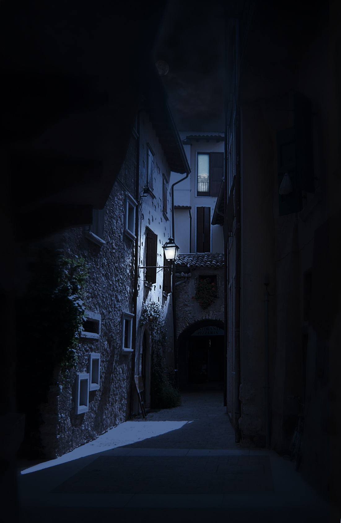 תמונת מוארת ששונתה לתמונה לילית