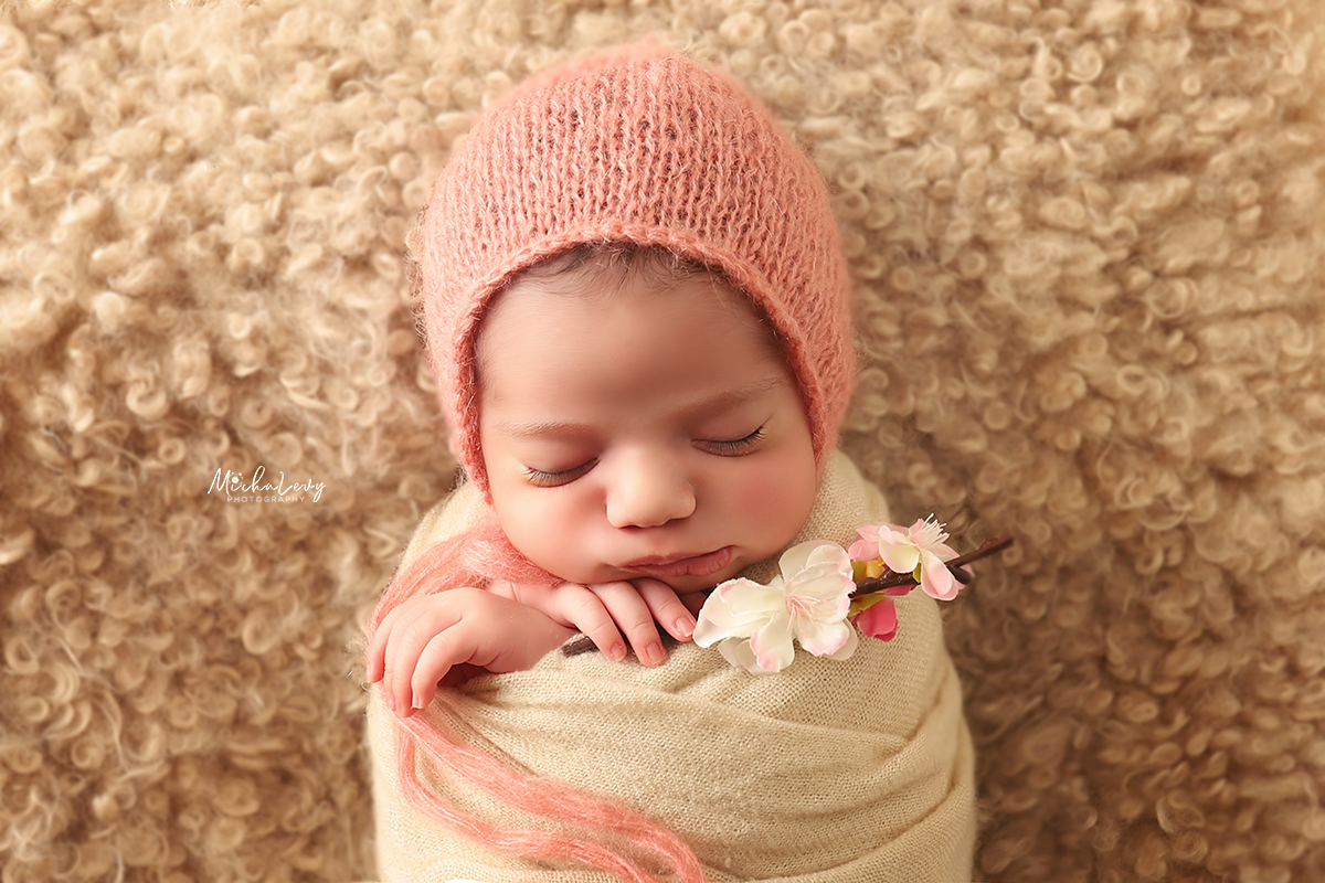 תמרי ערוך מוקטן.jpg