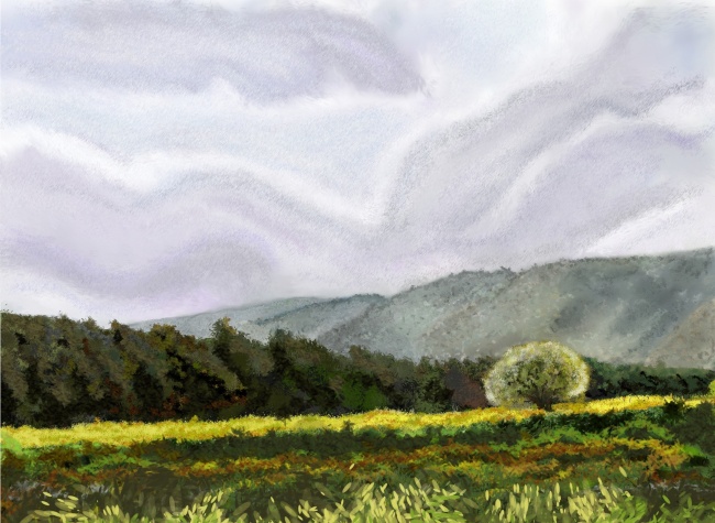 תצלום שמיים