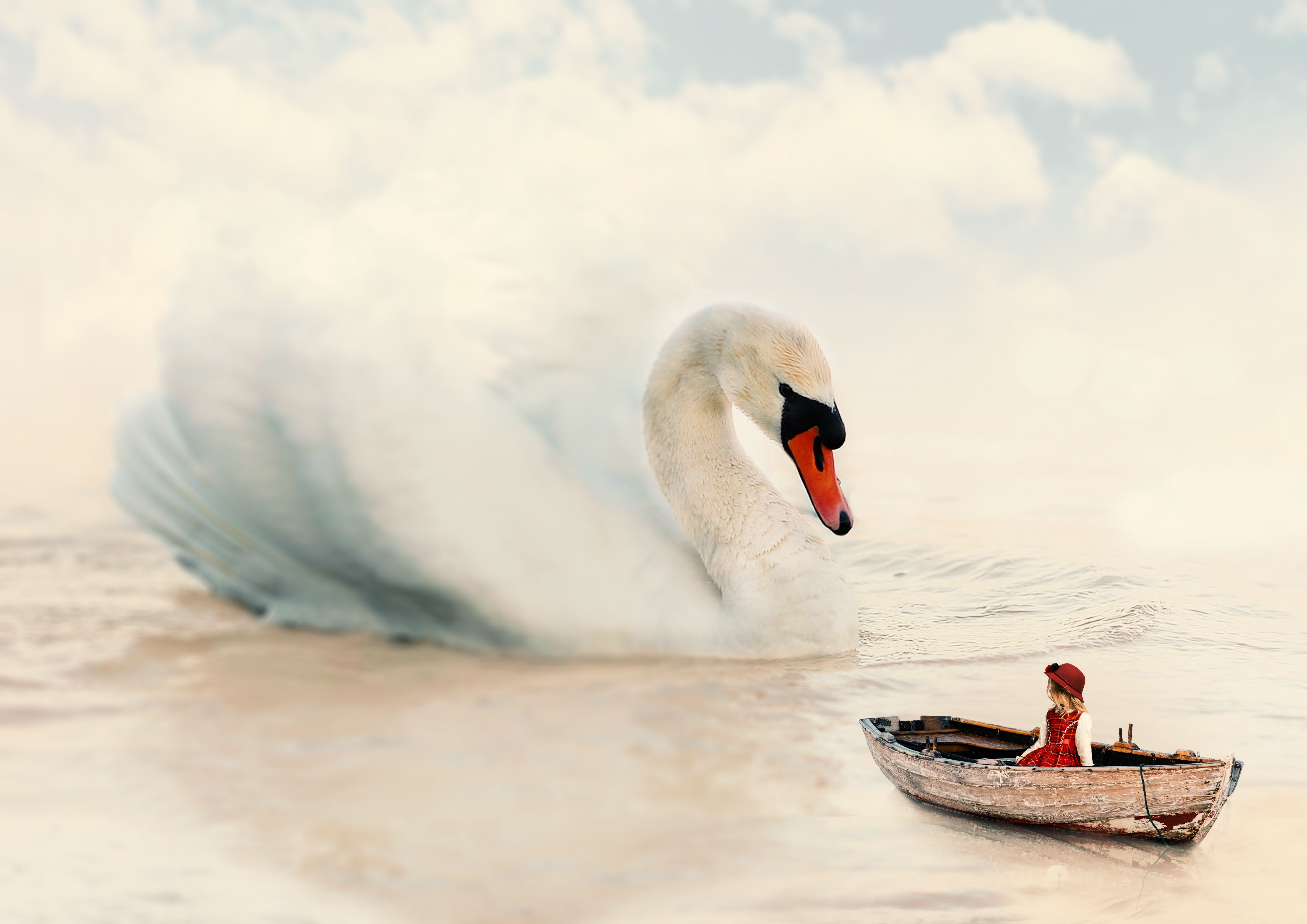 תרגיל שינוי פרופורציות.jpg