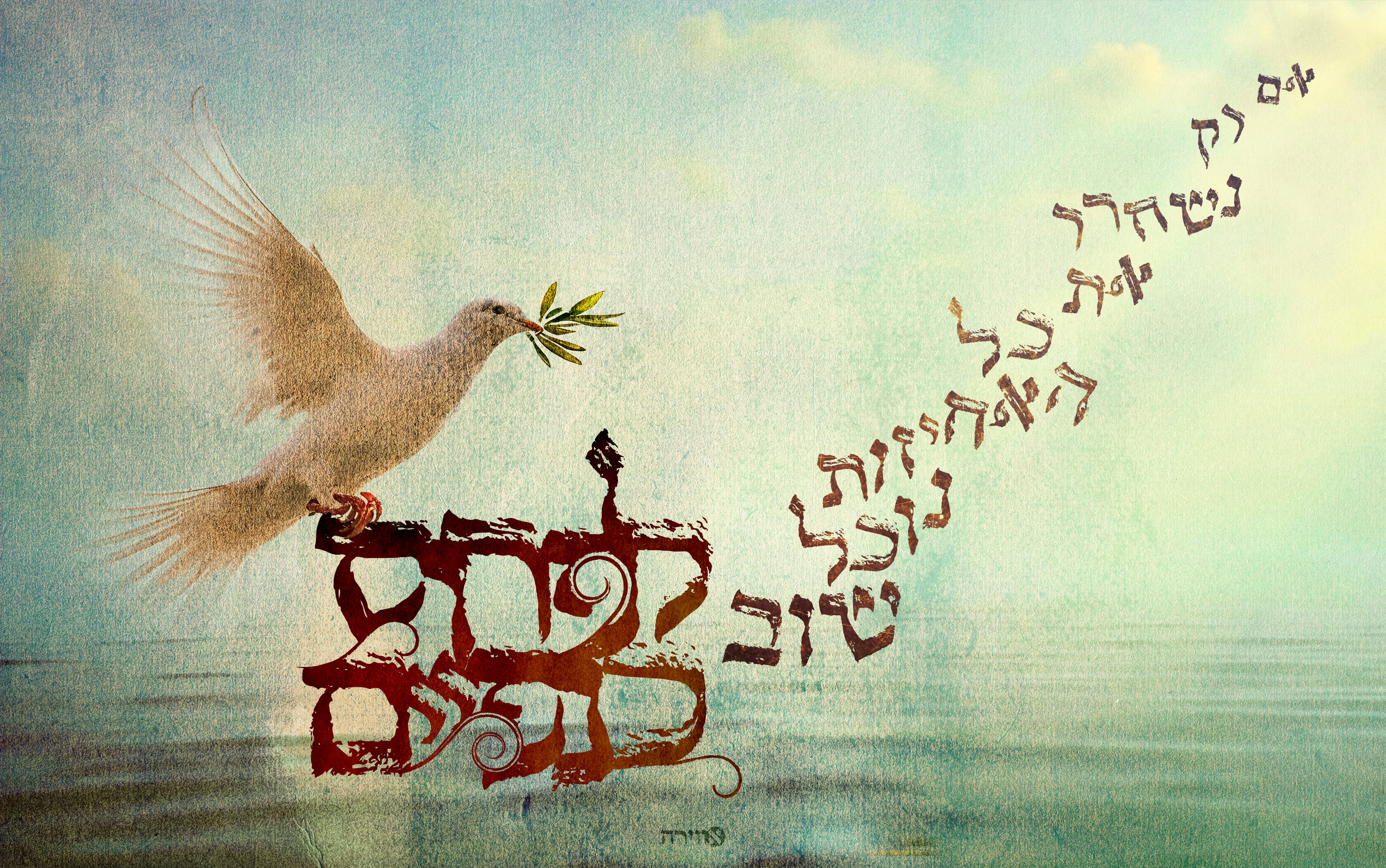 ‏‏טיפוגרפיה לפרוס כנפיים .jpg