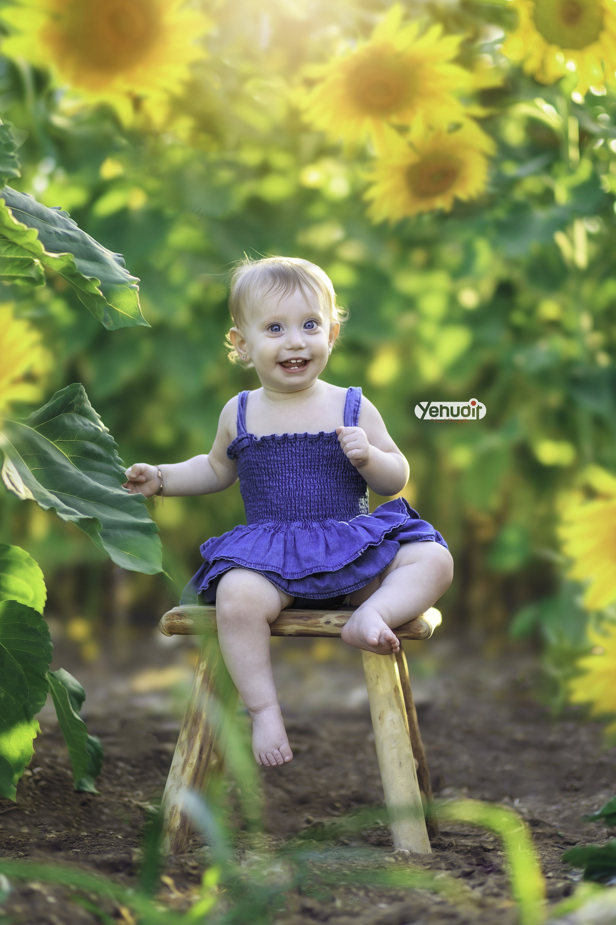 ‏‏‏‏5X7A9332 - יהודית סמט - עותק.jpg