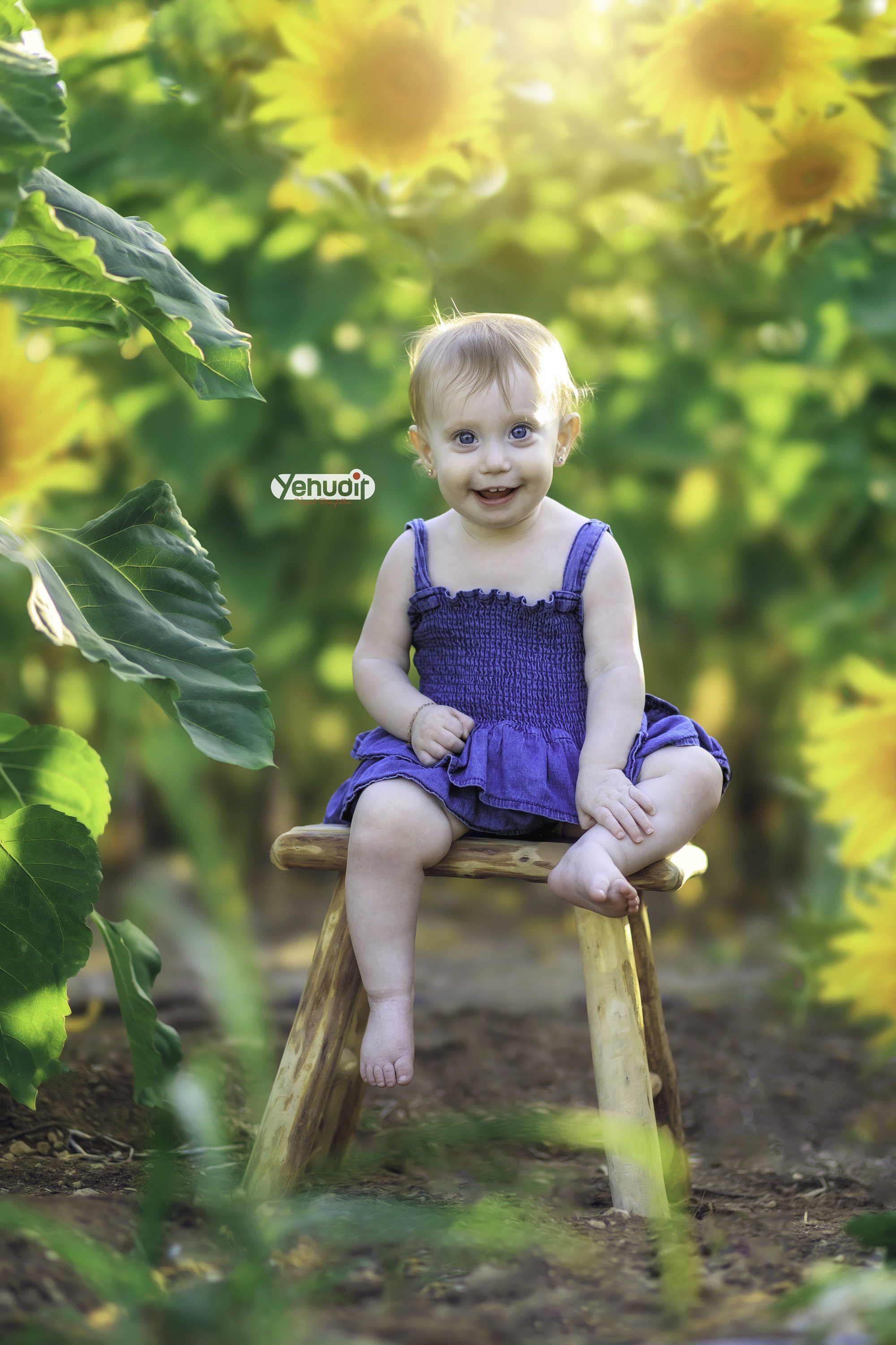 ‏‏‏‏5X7A9338 - יהודית סמט - עותק.jpg