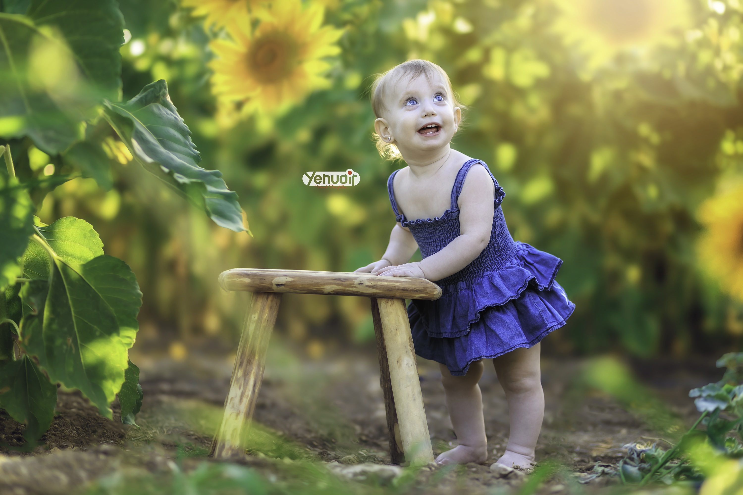 ‏‏‏‏5X7A9392 - יהודית סמט - עותק.jpg