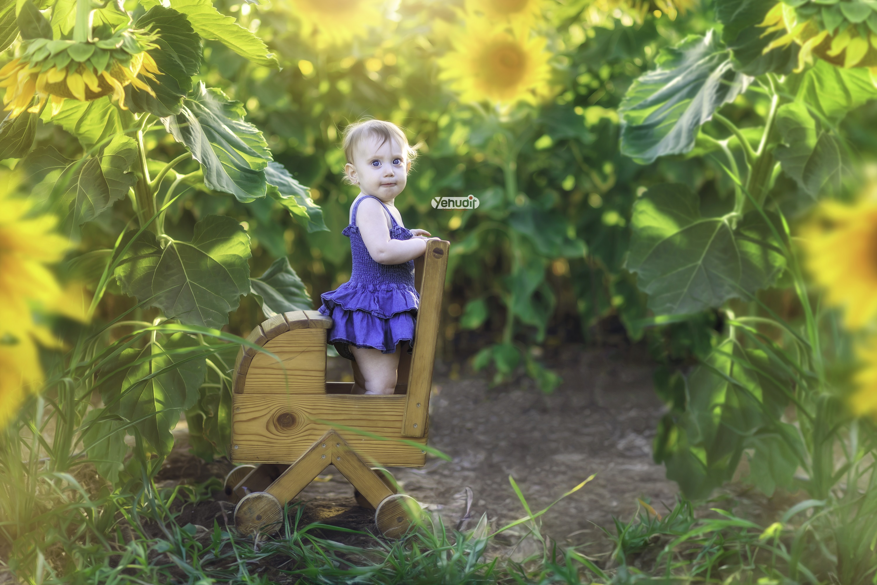 ‏‏‏‏5X7A9485 - יהודית סמט - עותק.jpg