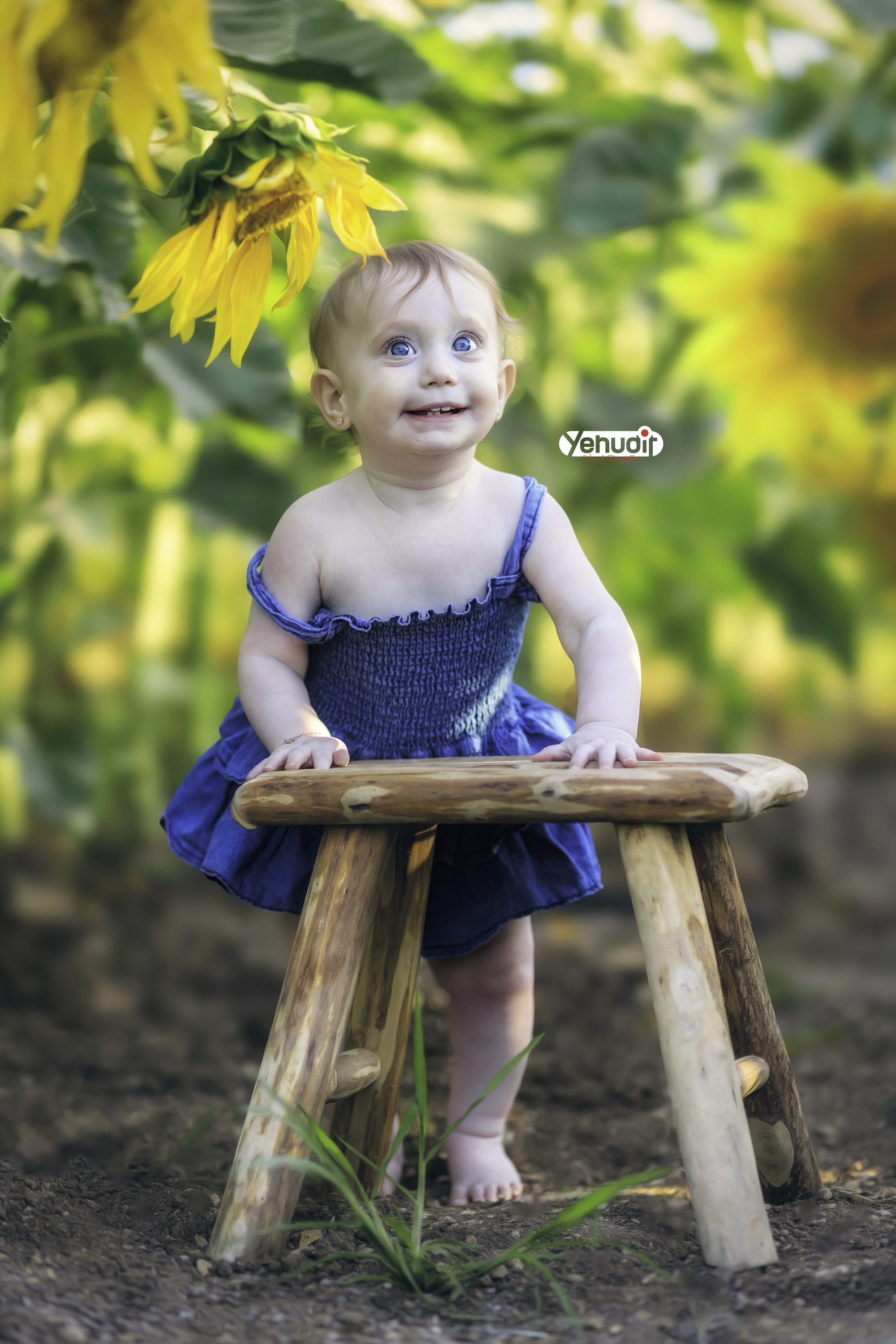 ‏‏‏‏5X7A9520 - יהודית סמט - עותק.jpg