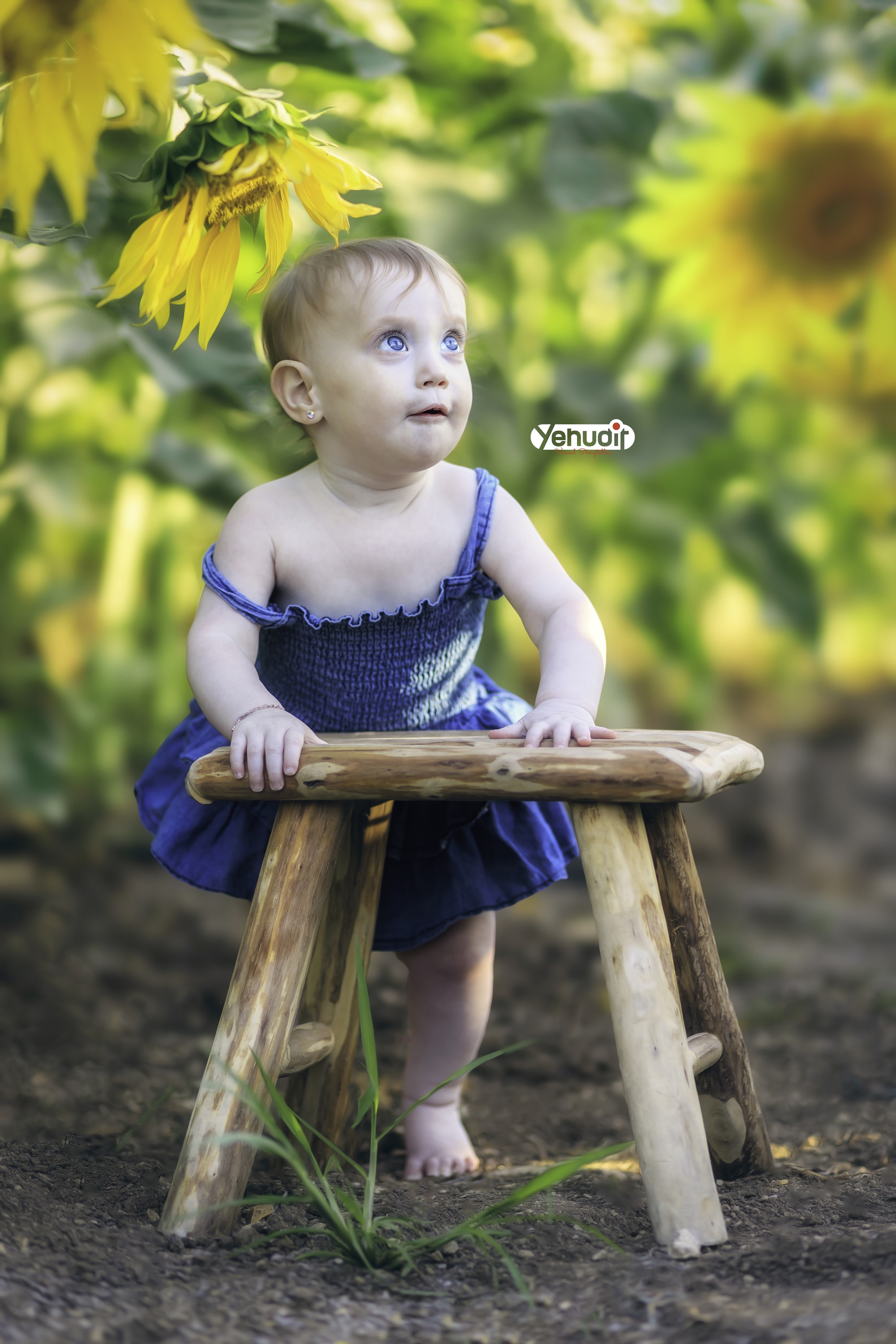 ‏‏‏‏5X7A9525 - יהודית סמט - עותק.jpg