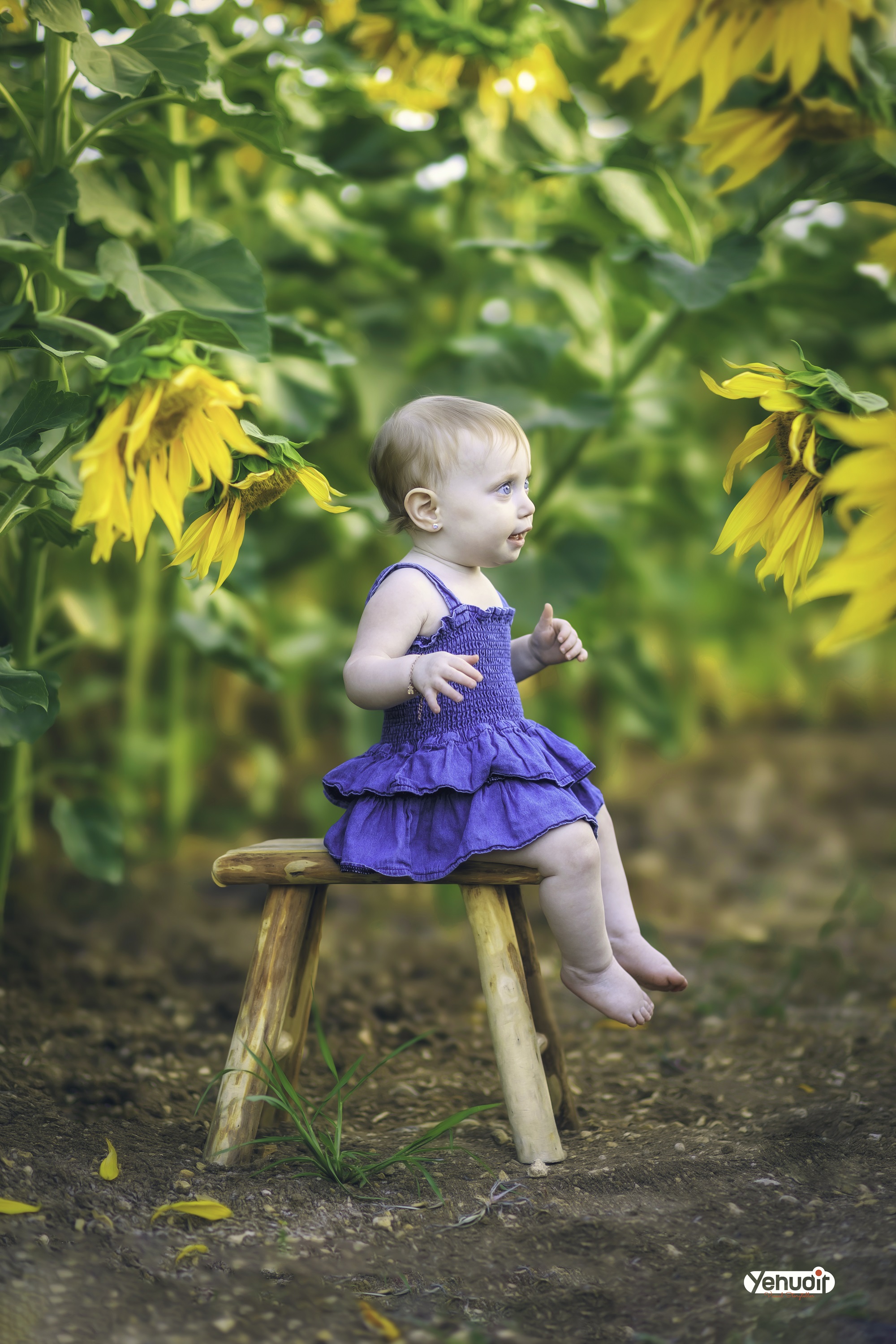 ‏‏‏‏5X7A9574 - יהודית סמט - עותק.jpg