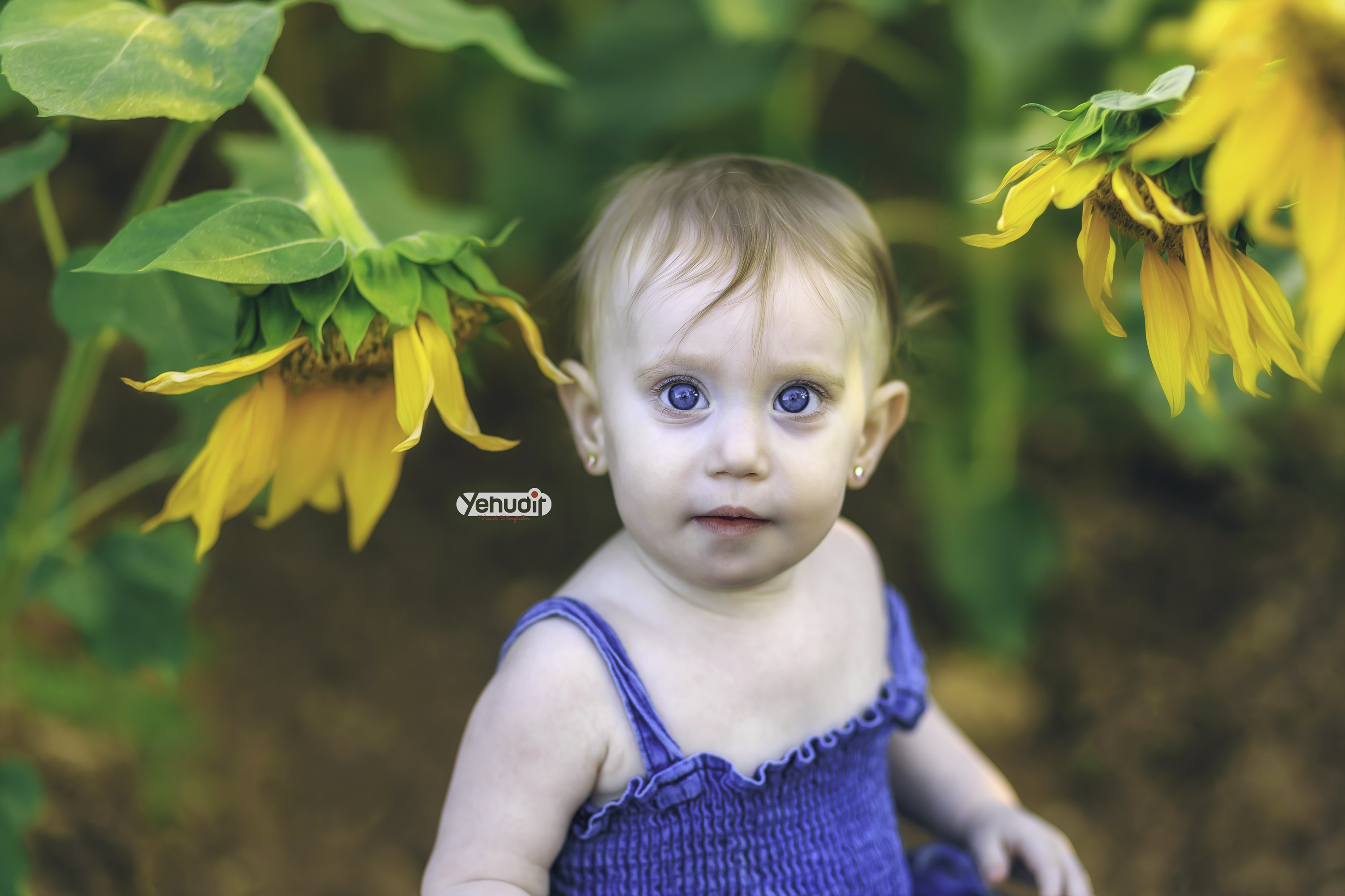 ‏‏‏‏5X7A9622 - יהודית סמט - עותק.jpg