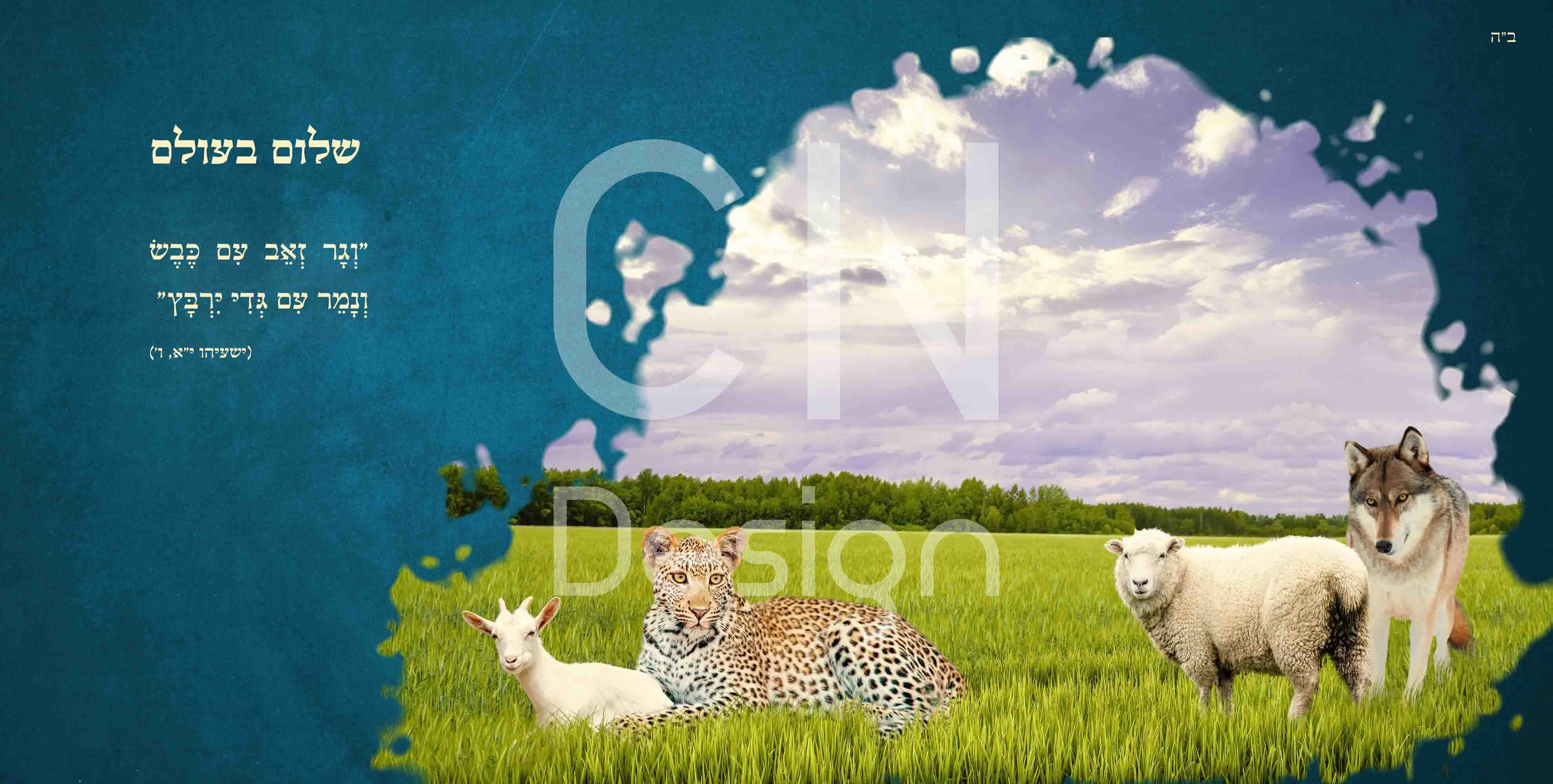 02 וגר זאב עם כבש.JPG