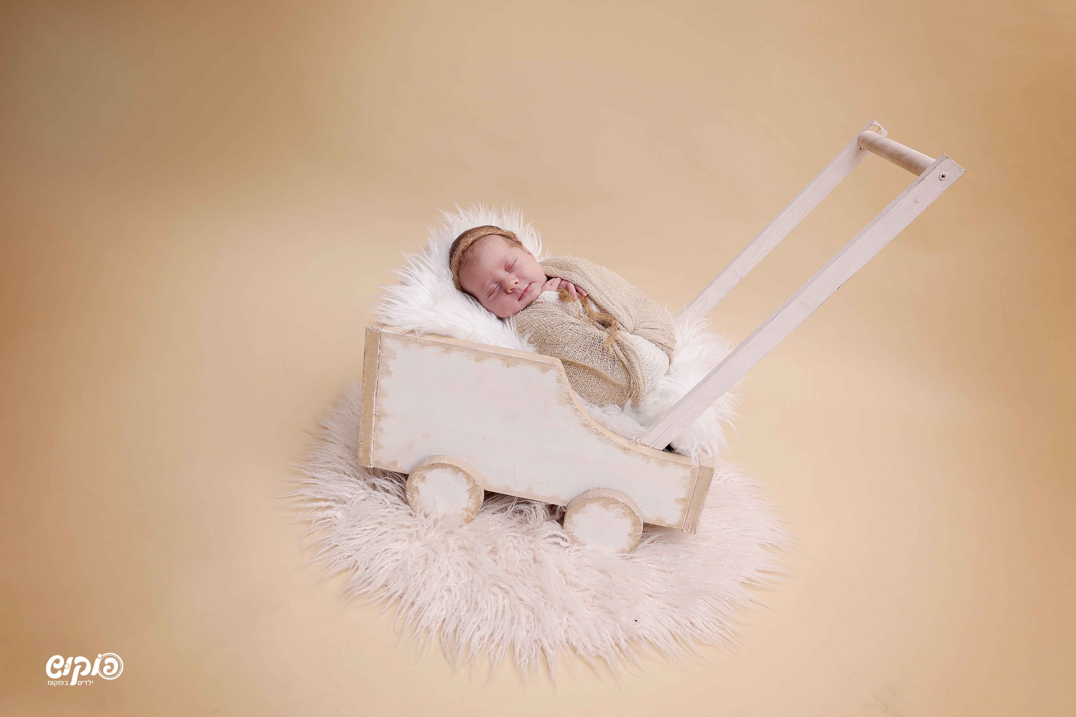 0504129971 פוקוש ניו בורן שושי  (6).jpg